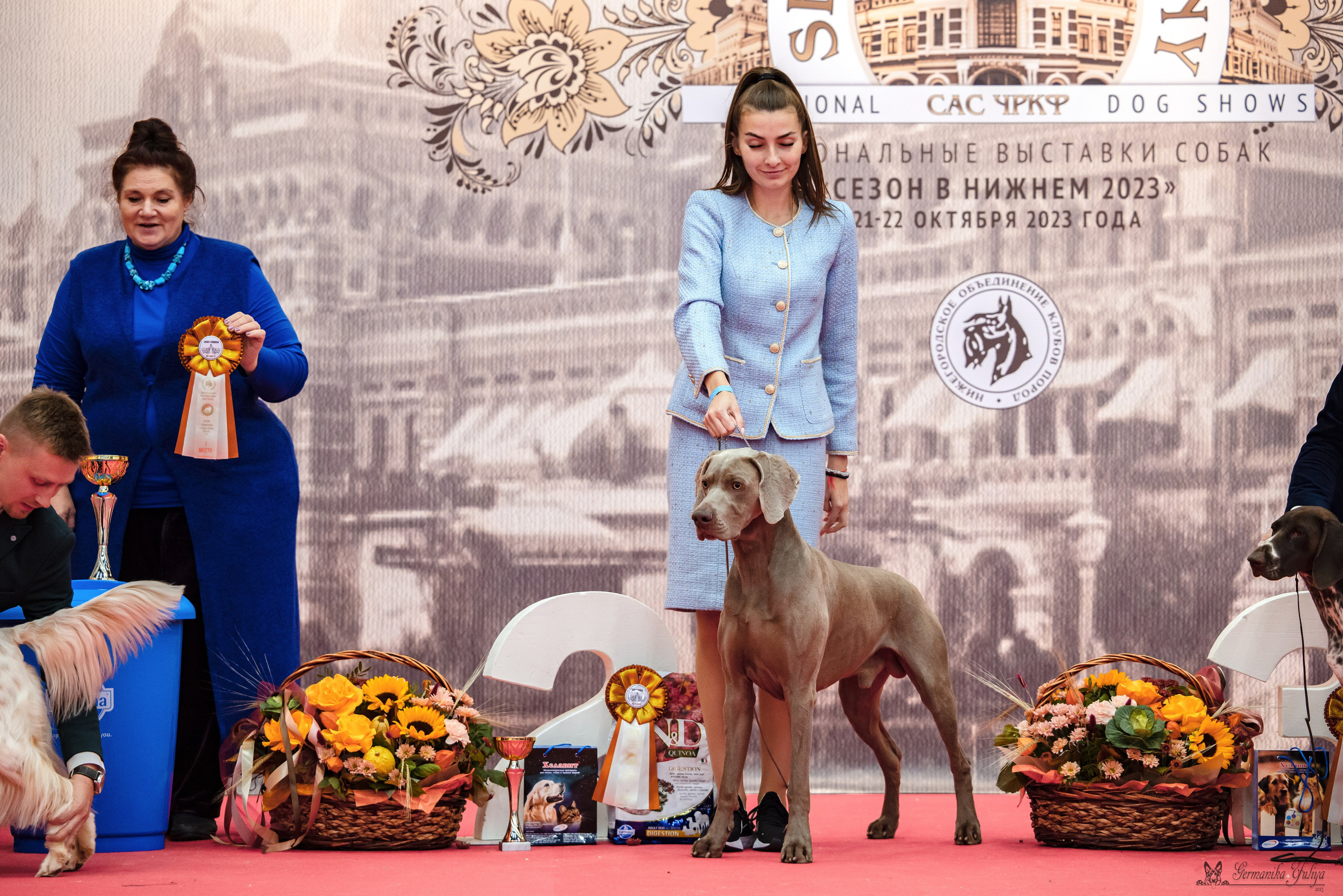 Нижний Новгород 21-22.10.2023. Фотограф-анималист Юлия Германика