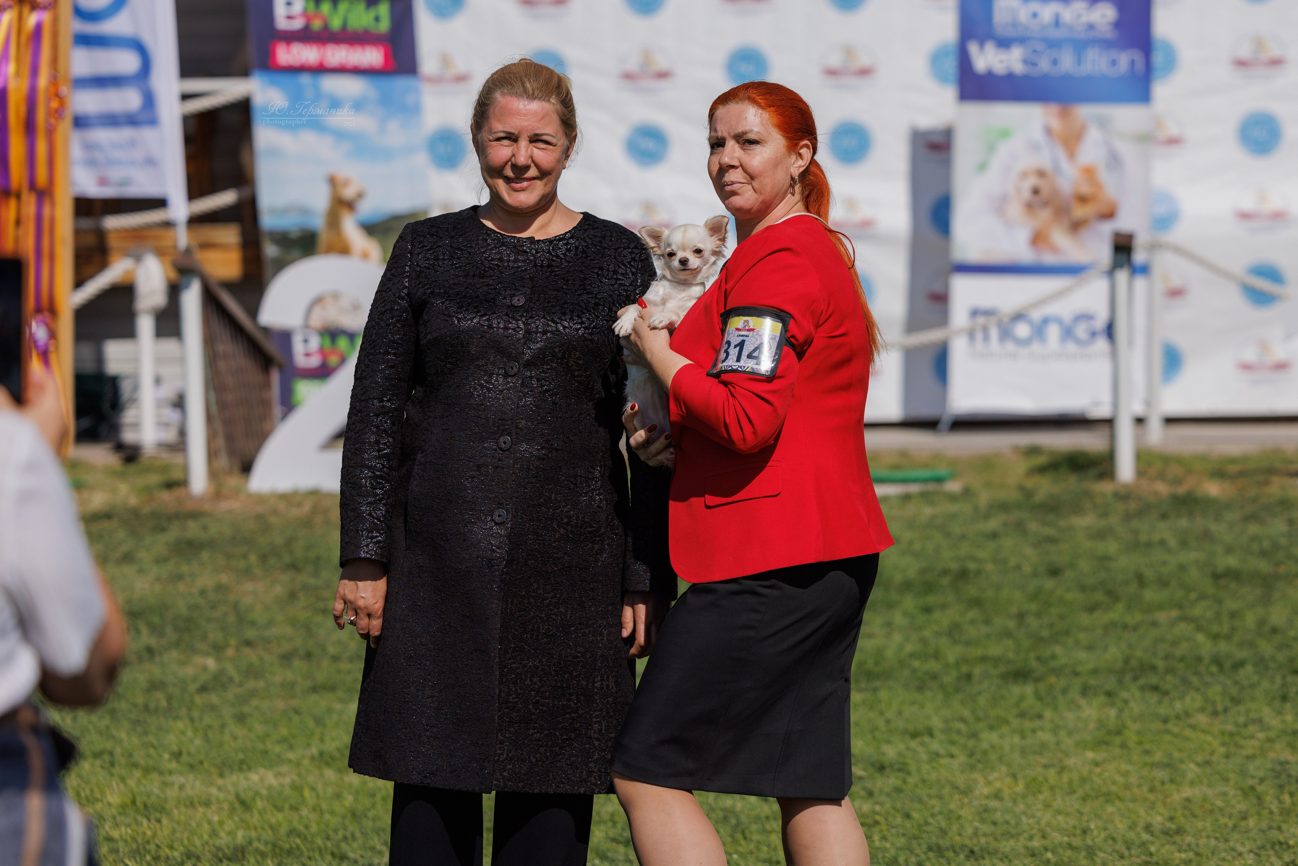 Ереван 14-16.10.2025. Фотограф-анималист Юлия Германика