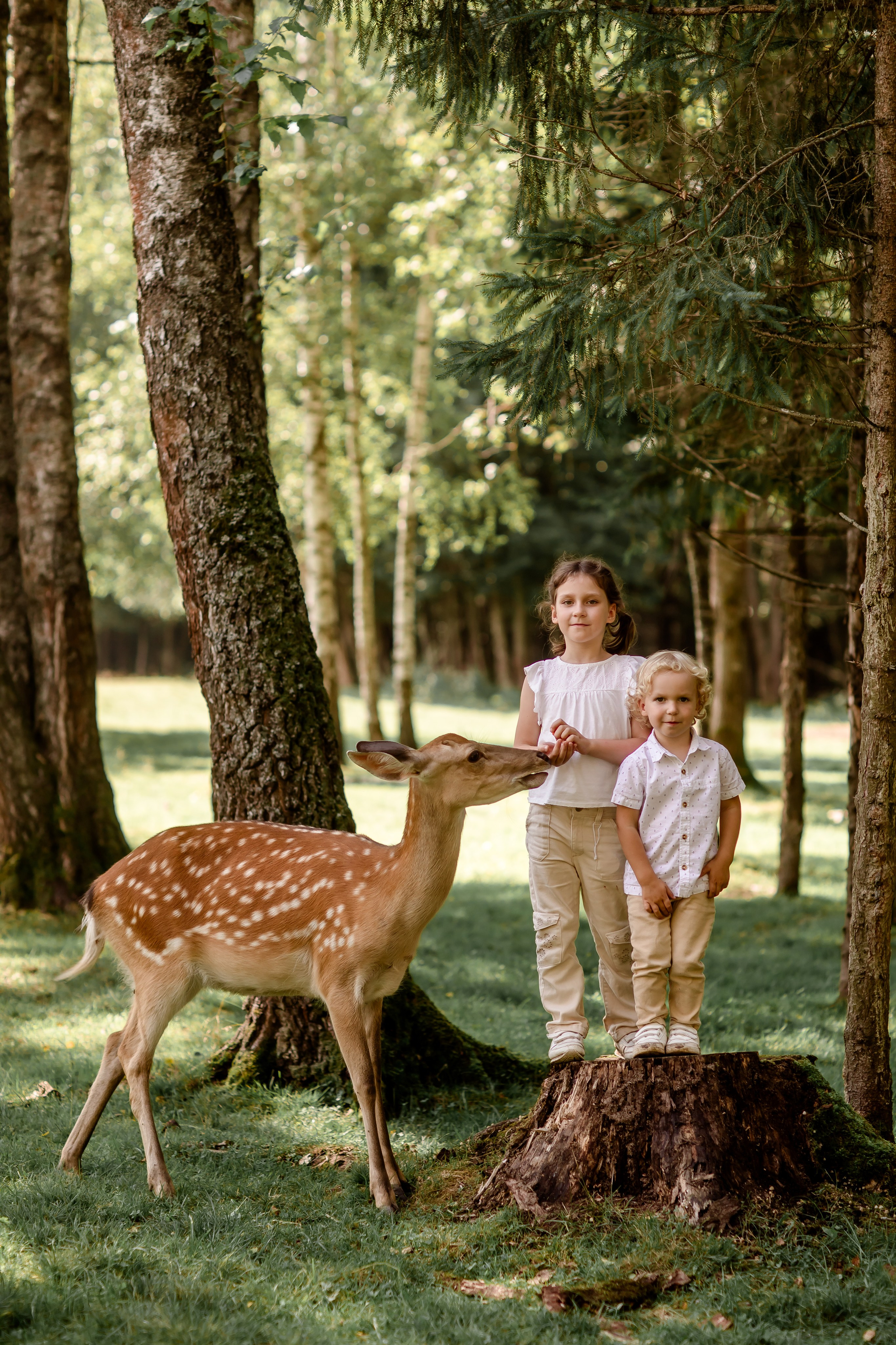 Дети. Семейный и детский фотограф в Москве и на Новой Риге Светлана Демина