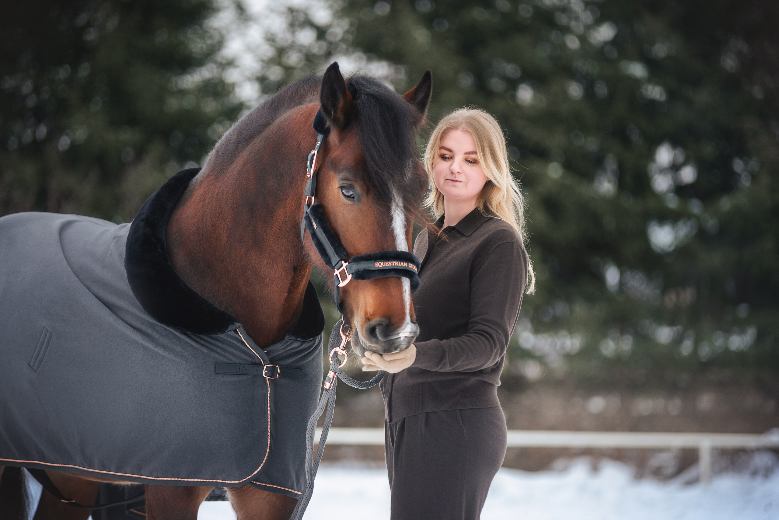Новогодний Волконский. Конный фотограф Куракина Дарья • Фотосессии с лошадьми