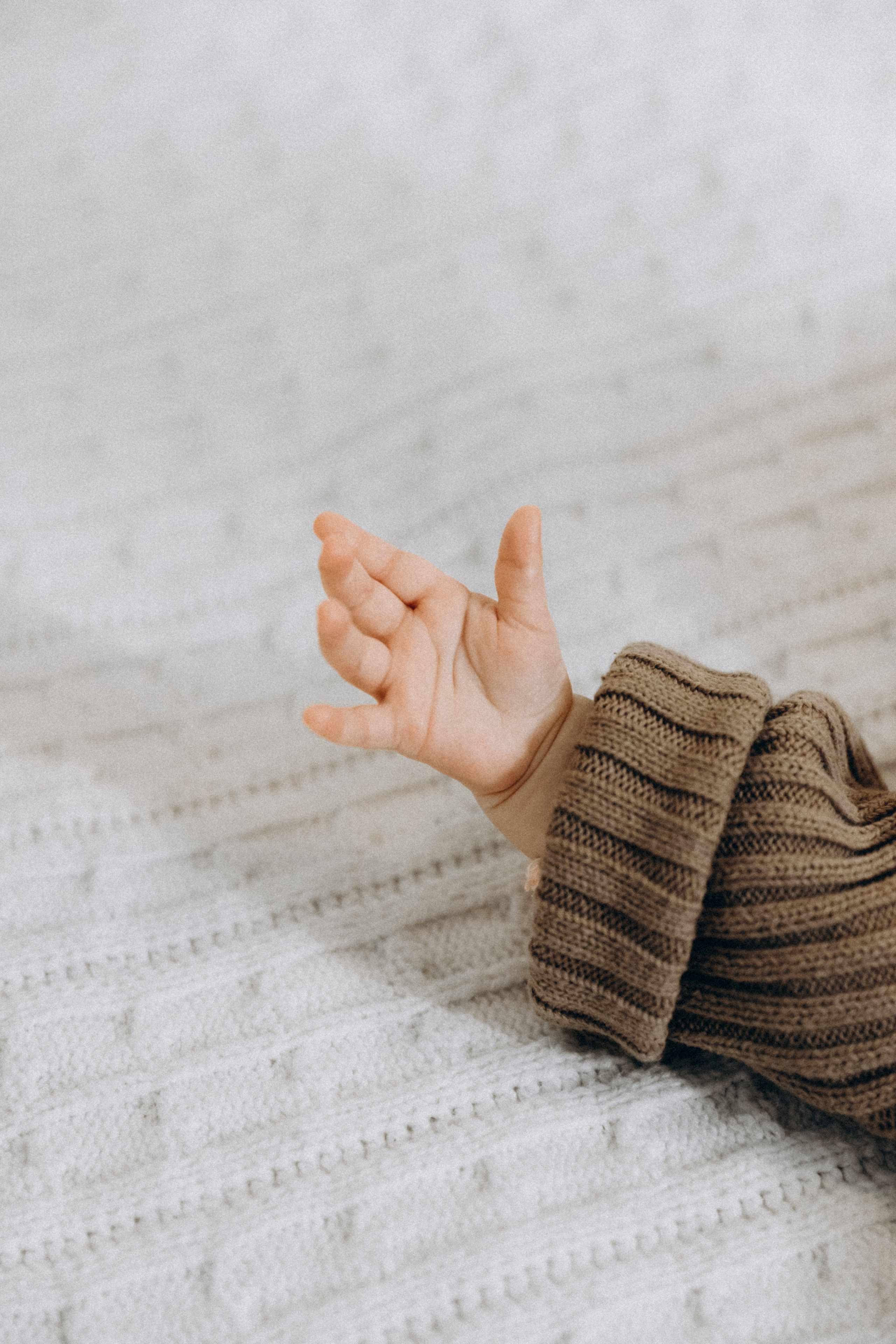 Олег, Людмила и Рада. Фотограф Сочи Адлер Красная Поляна Ошутина Анастасия