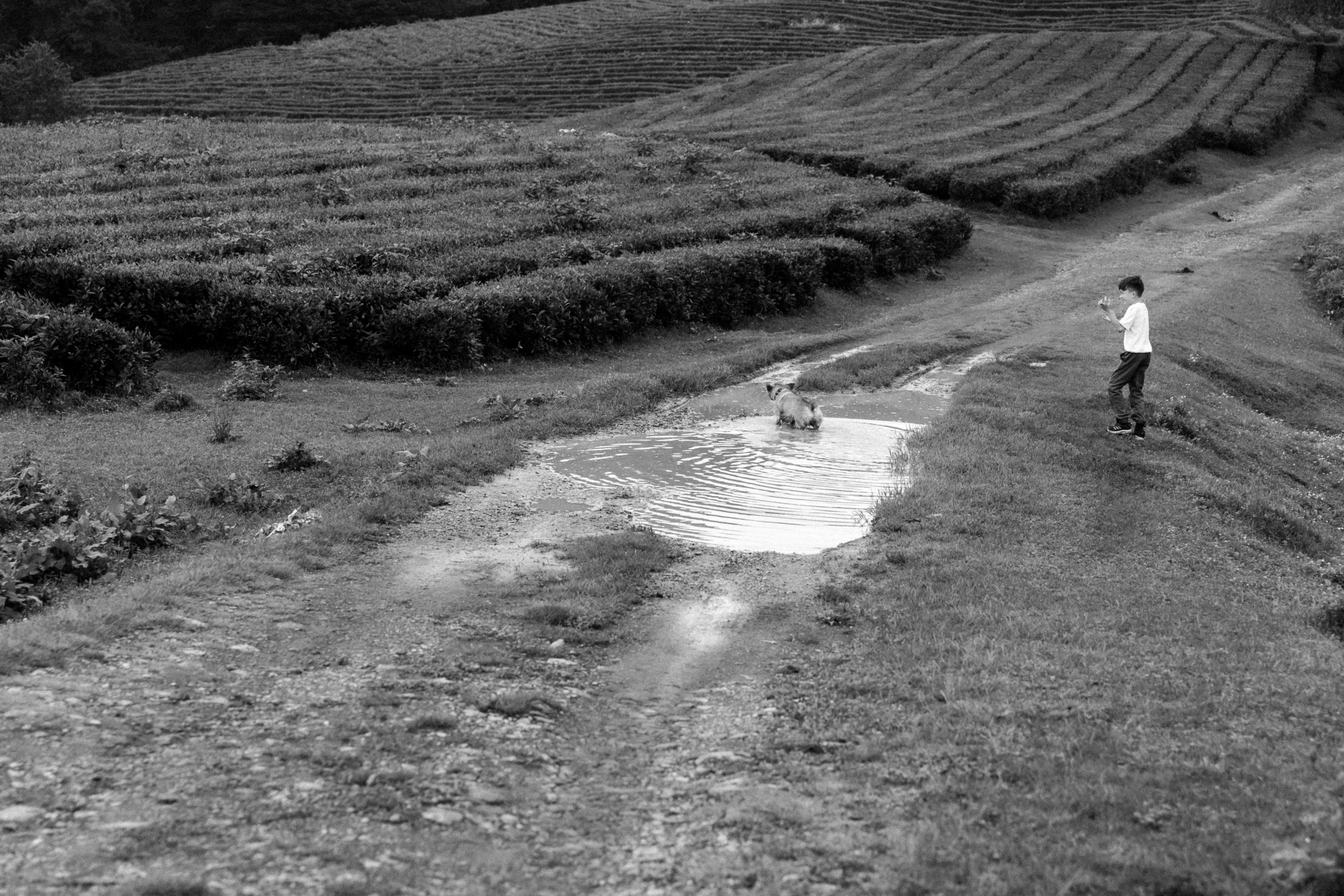 Дмитрий, Алия, Платон, Глеб, Радислав, Герман и Юмми. Фотограф Сочи Адлер Красная Поляна Ошутина Анастасия