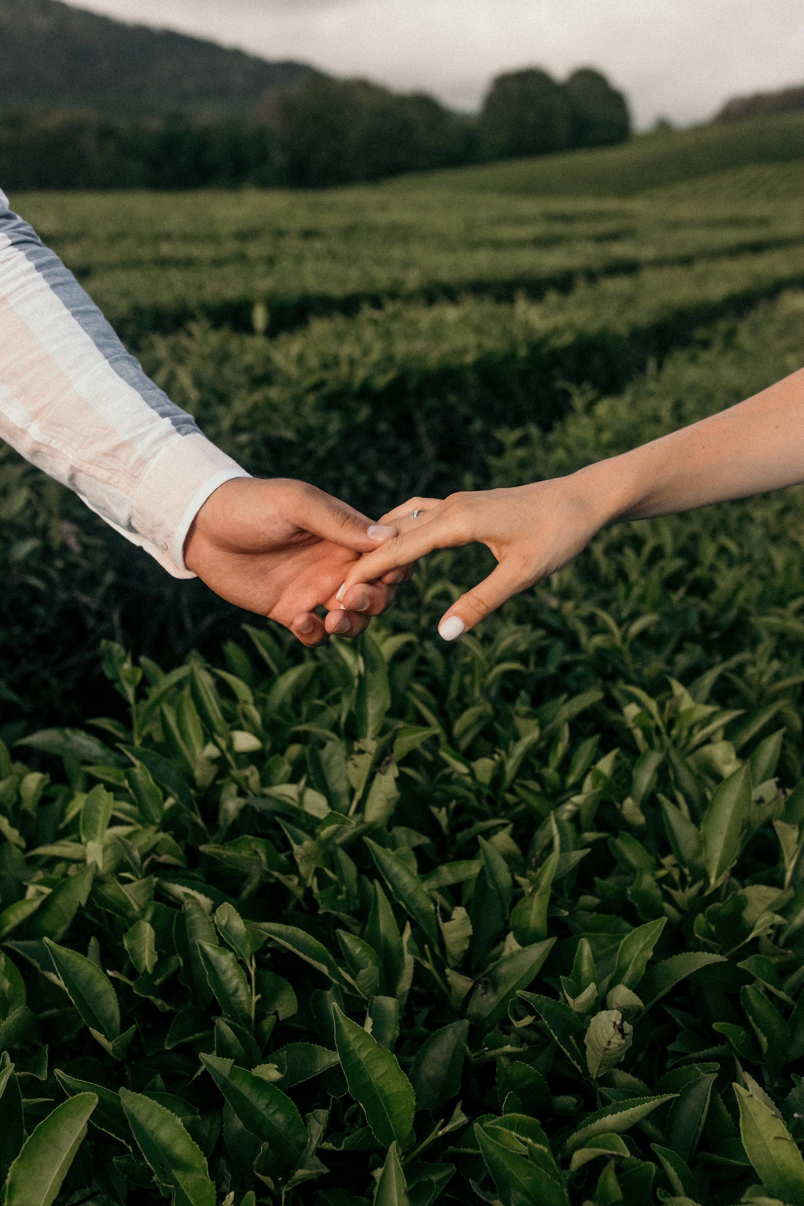Александр, Арина и Лукерья. Фотограф Сочи Адлер Красная Поляна Ошутина Анастасия