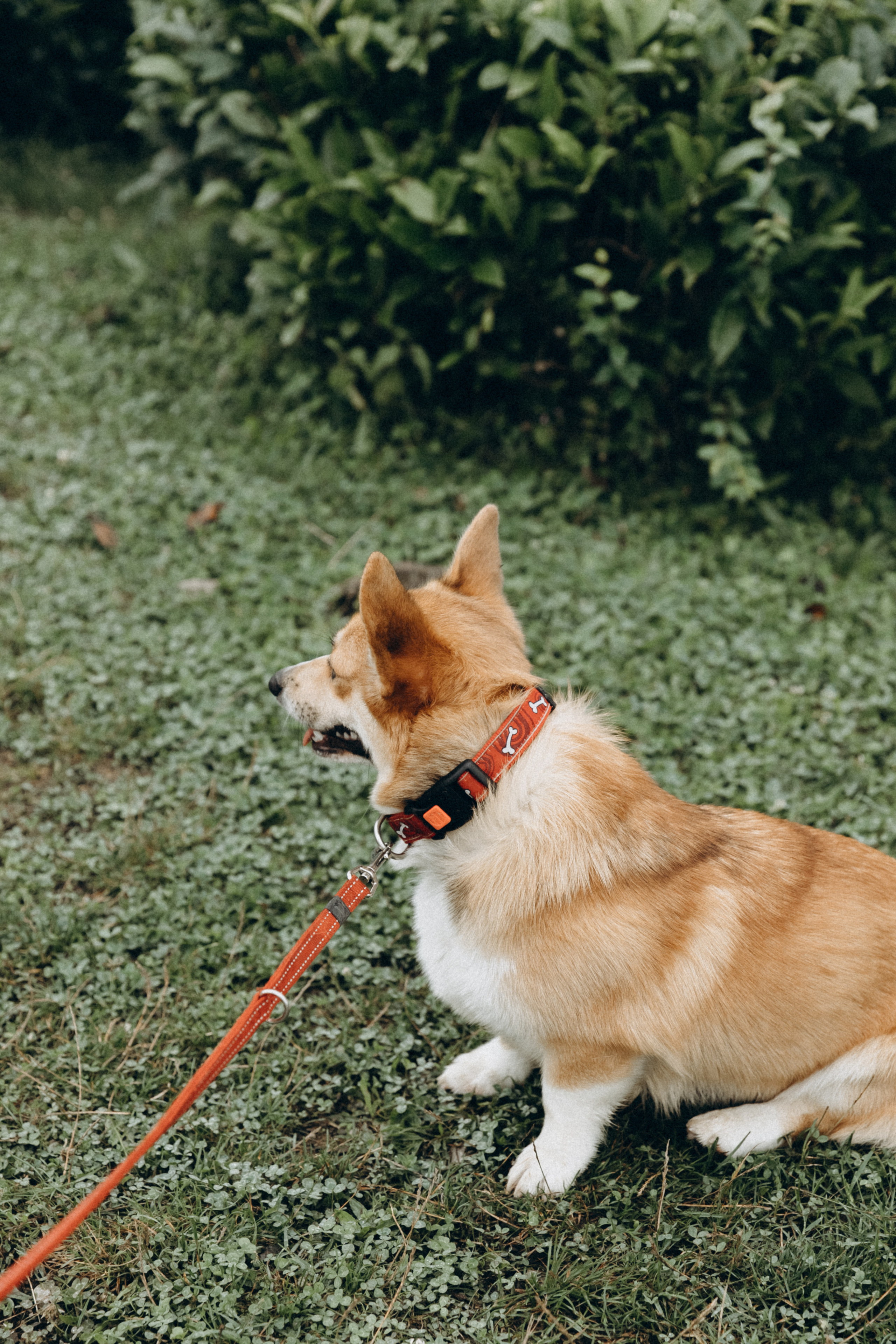 Дмитрий, Алия, Платон, Глеб, Радислав, Герман и Юмми. Фотограф Сочи Адлер Красная Поляна Ошутина Анастасия