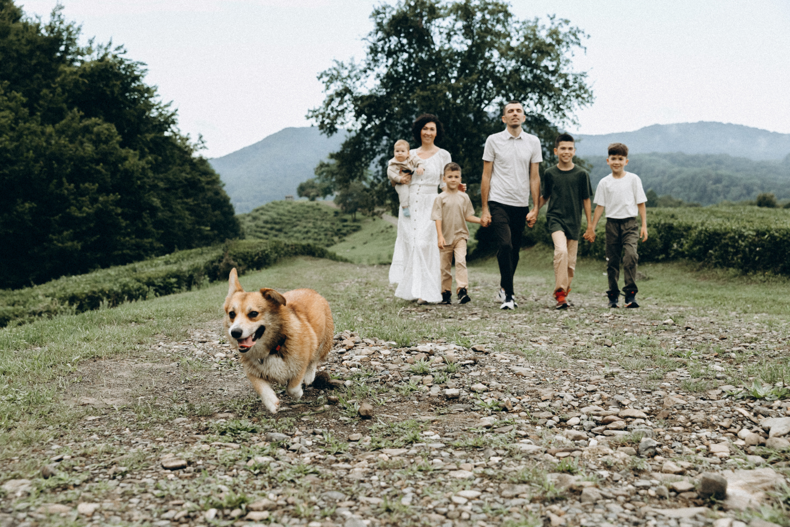 Дмитрий, Алия, Платон, Глеб, Радислав, Герман и Юмми. Фотограф Сочи Адлер Красная Поляна Ошутина Анастасия
