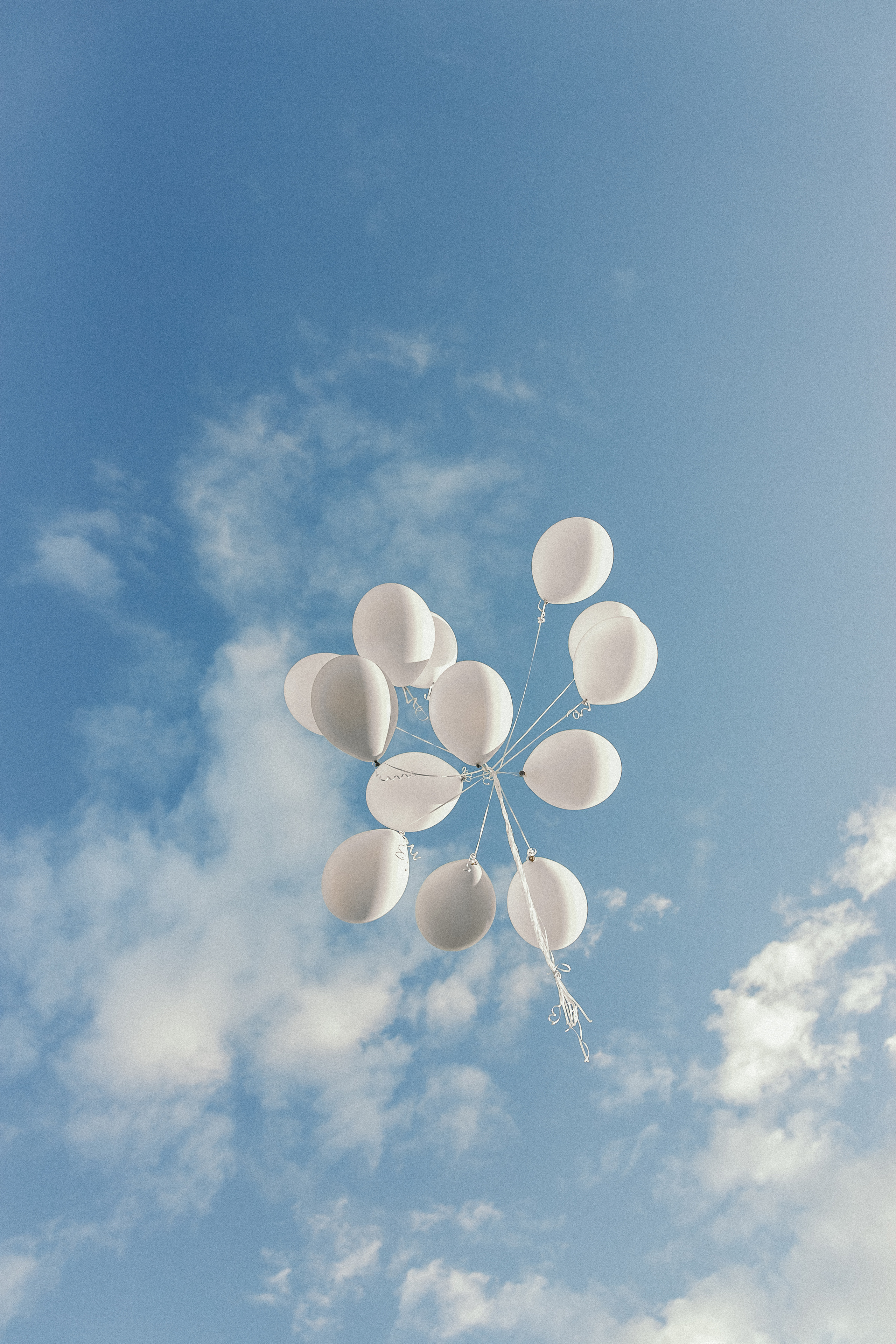 Максим, Светлана и Василиса. Фотограф Сочи Адлер Красная Поляна Ошутина Анастасия