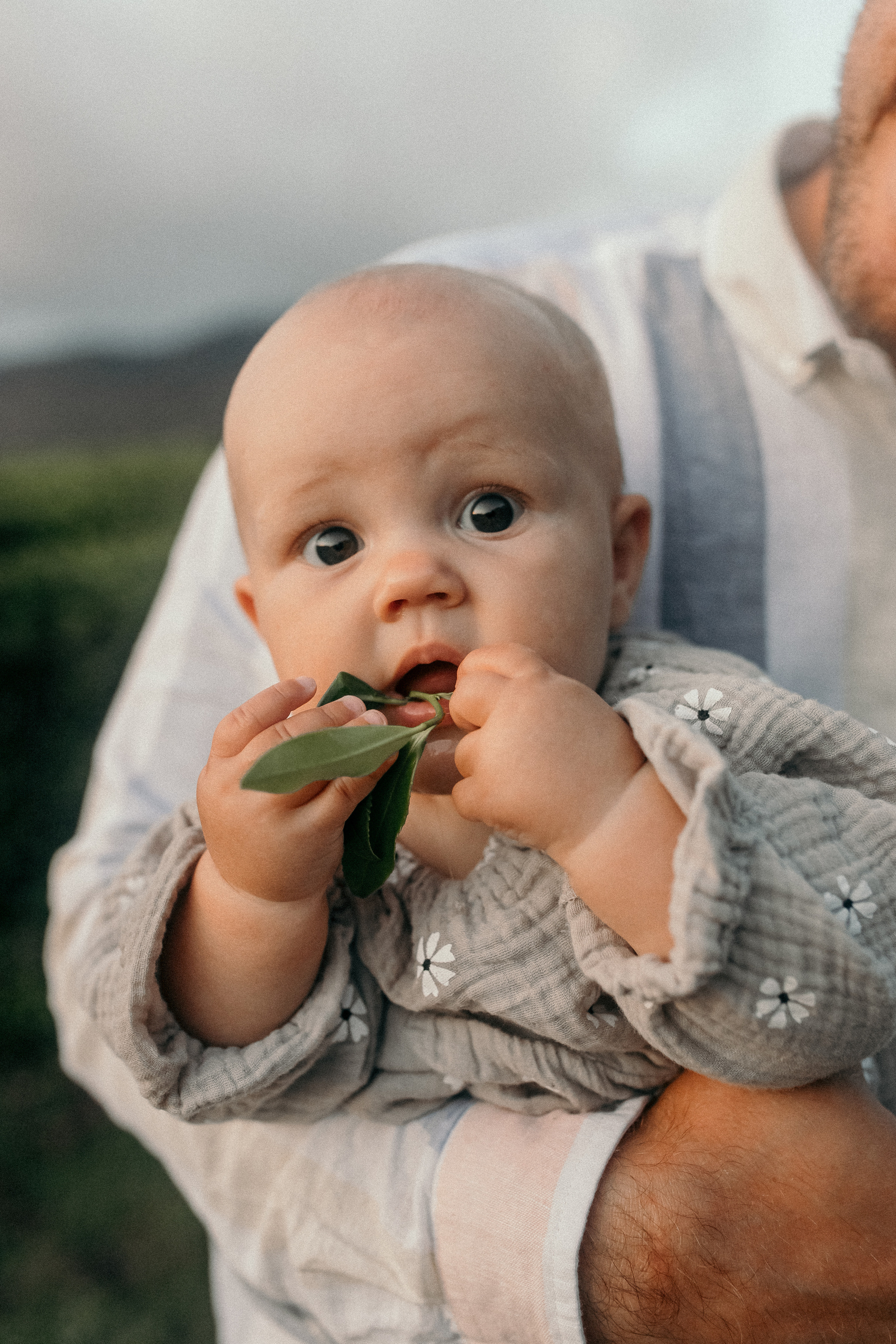 Александр, Арина и Лукерья. Фотограф Сочи Адлер Красная Поляна Ошутина Анастасия