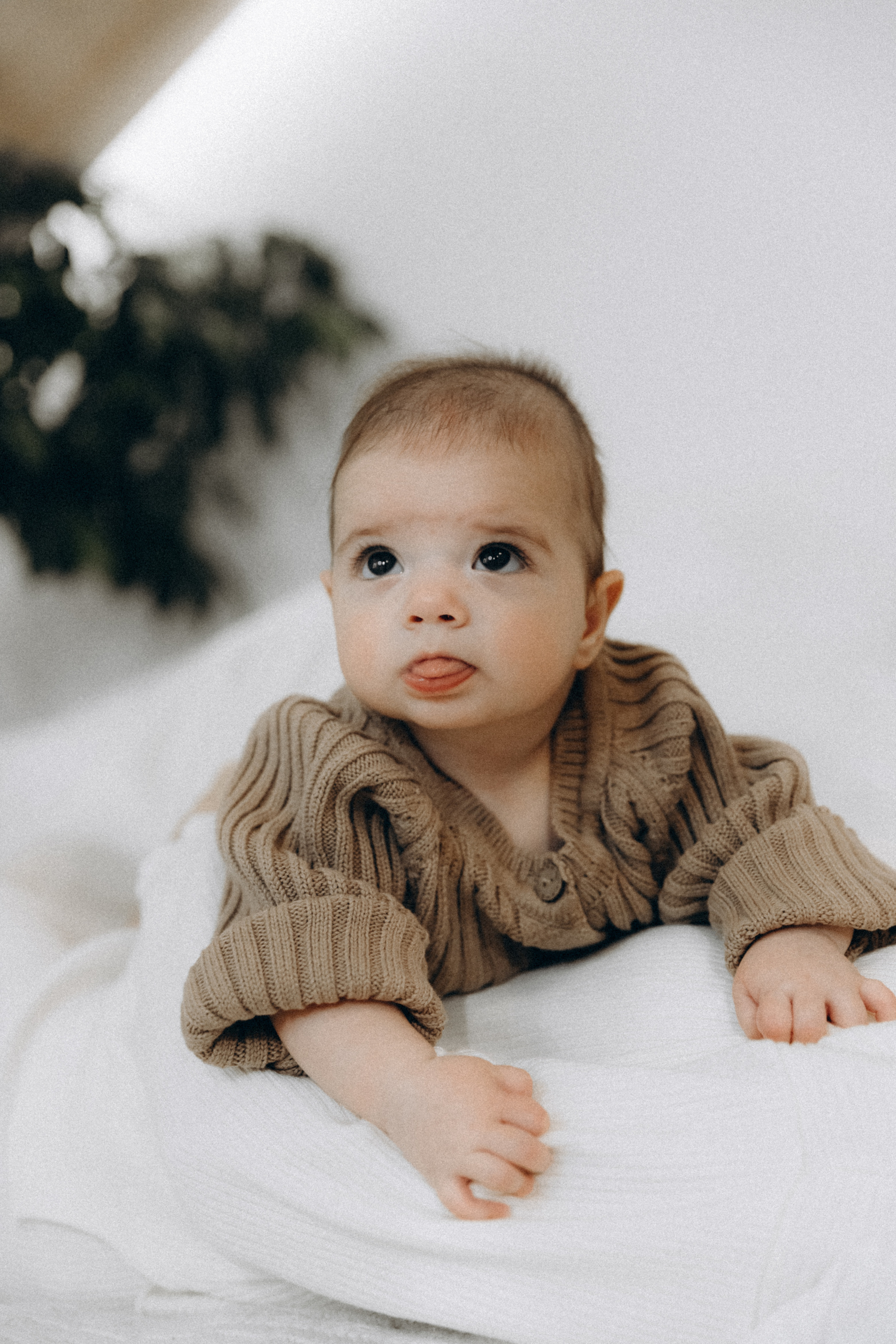 Олег, Людмила и Рада. Фотограф Сочи Адлер Красная Поляна Ошутина Анастасия