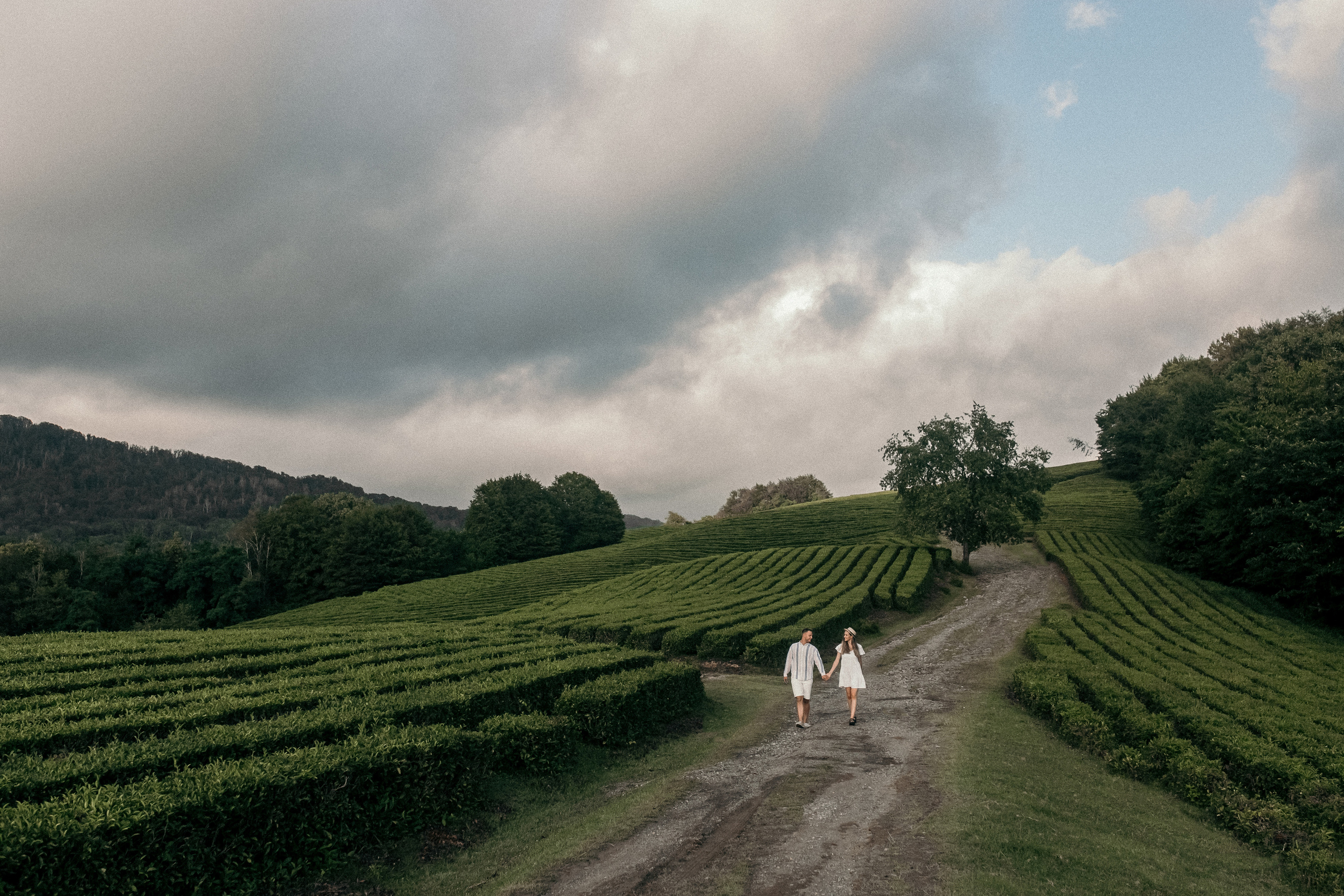 Александр, Арина и Лукерья. Фотограф Сочи Адлер Красная Поляна Ошутина Анастасия