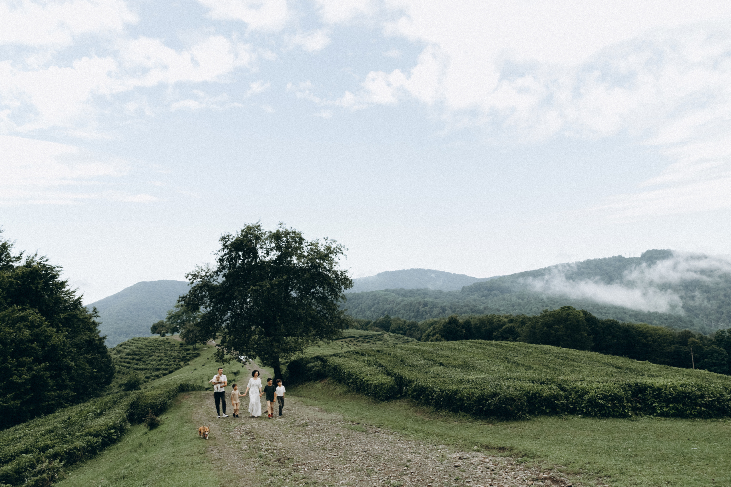Дмитрий, Алия, Платон, Глеб, Радислав, Герман и Юмми. Фотограф Сочи Адлер Красная Поляна Ошутина Анастасия