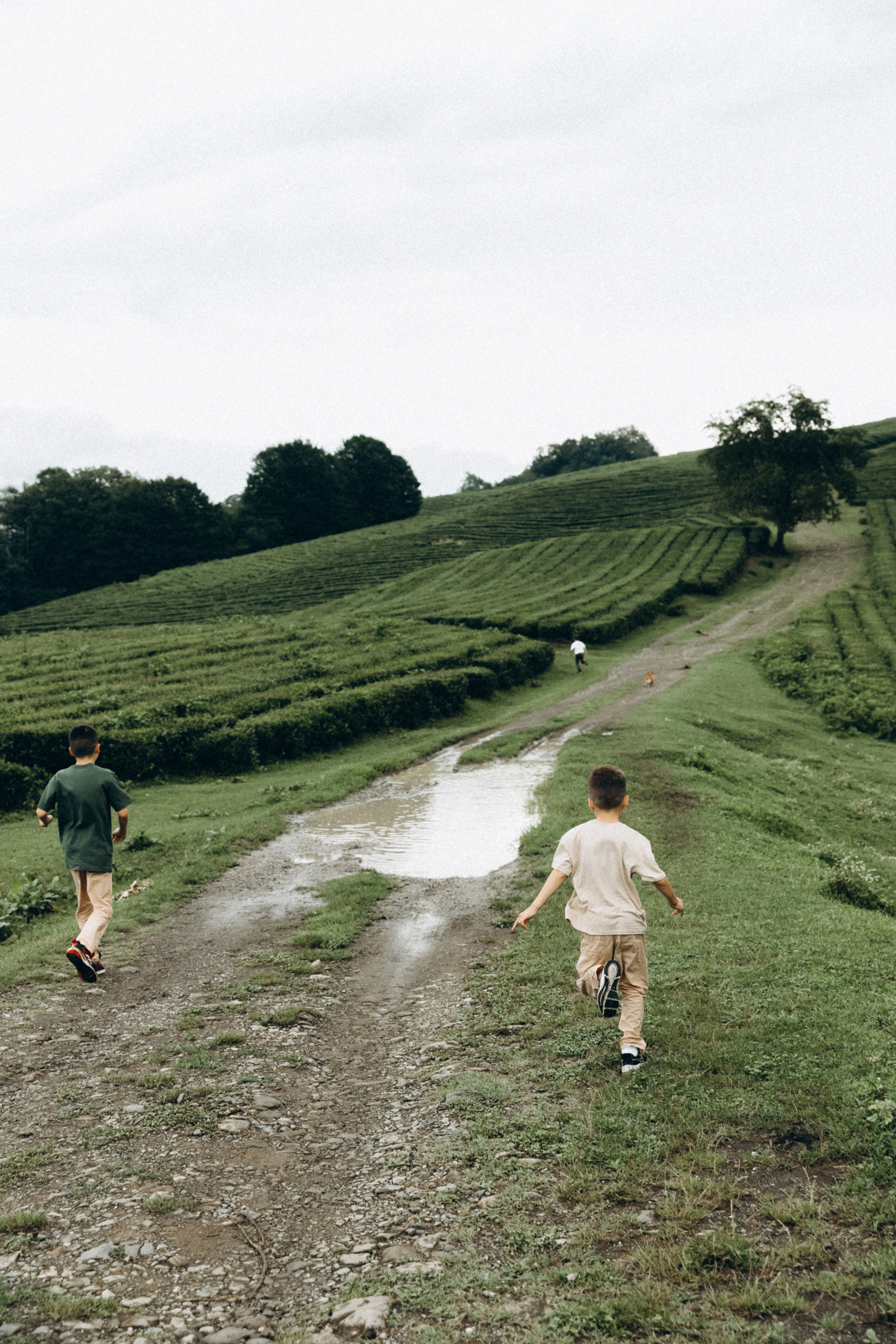 Дмитрий, Алия, Платон, Глеб, Радислав, Герман и Юмми. Фотограф Сочи Адлер Красная Поляна Ошутина Анастасия
