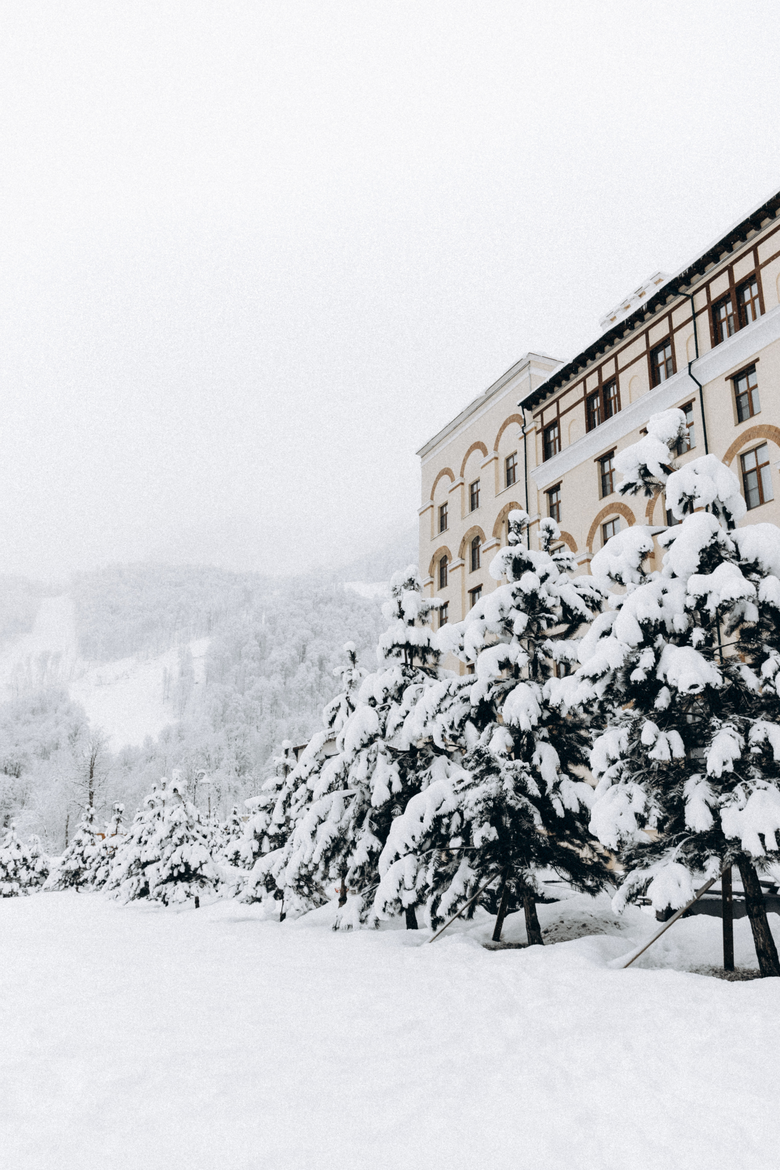 Светлана и Александр, Стеша и Ванюша. Фотограф Сочи Адлер Красная Поляна Ошутина Анастасия