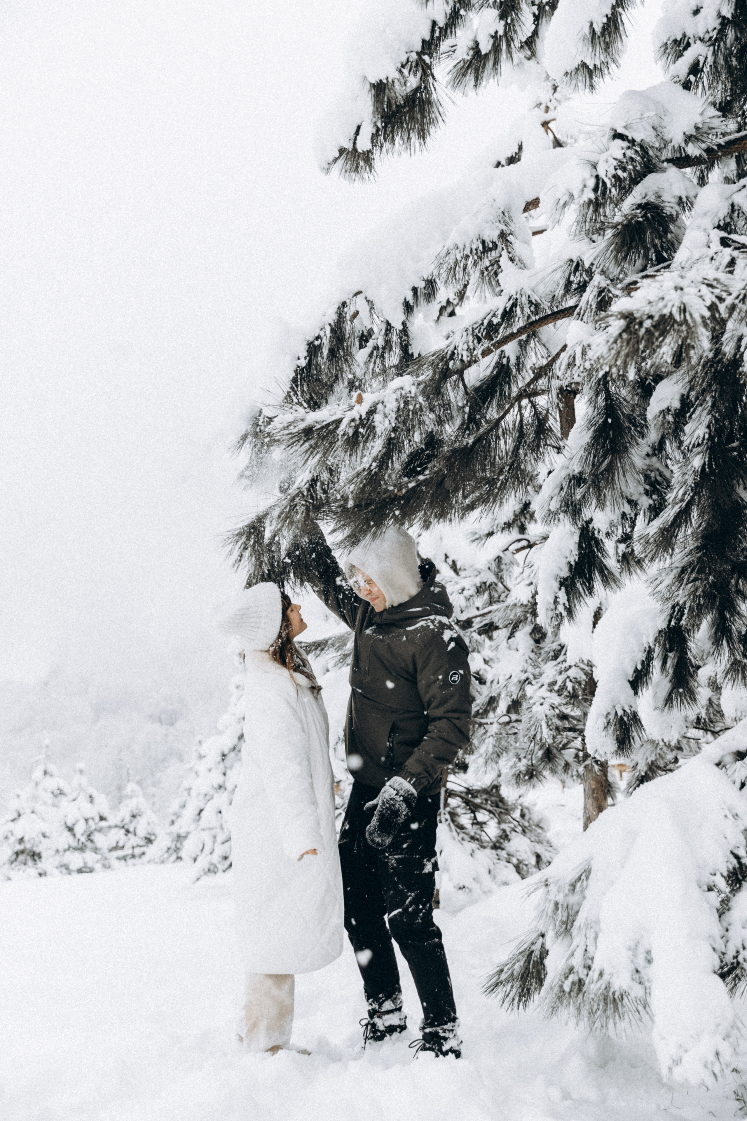 Светлана и Александр, Стеша и Ванюша. Фотограф Сочи Адлер Красная Поляна Ошутина Анастасия