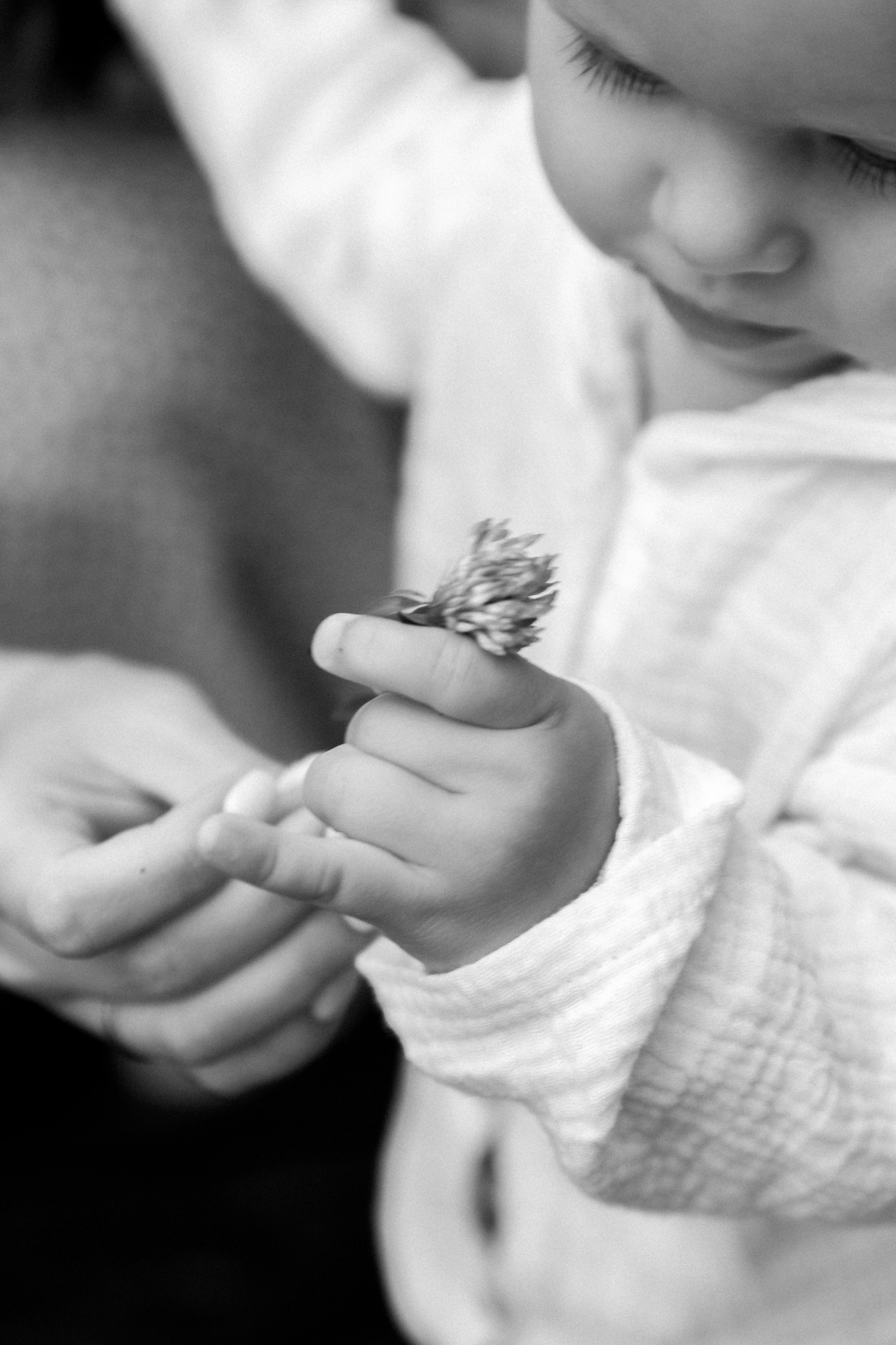 Андрей, Анастасия и Артём. Фотограф Сочи Адлер Красная Поляна Ошутина Анастасия