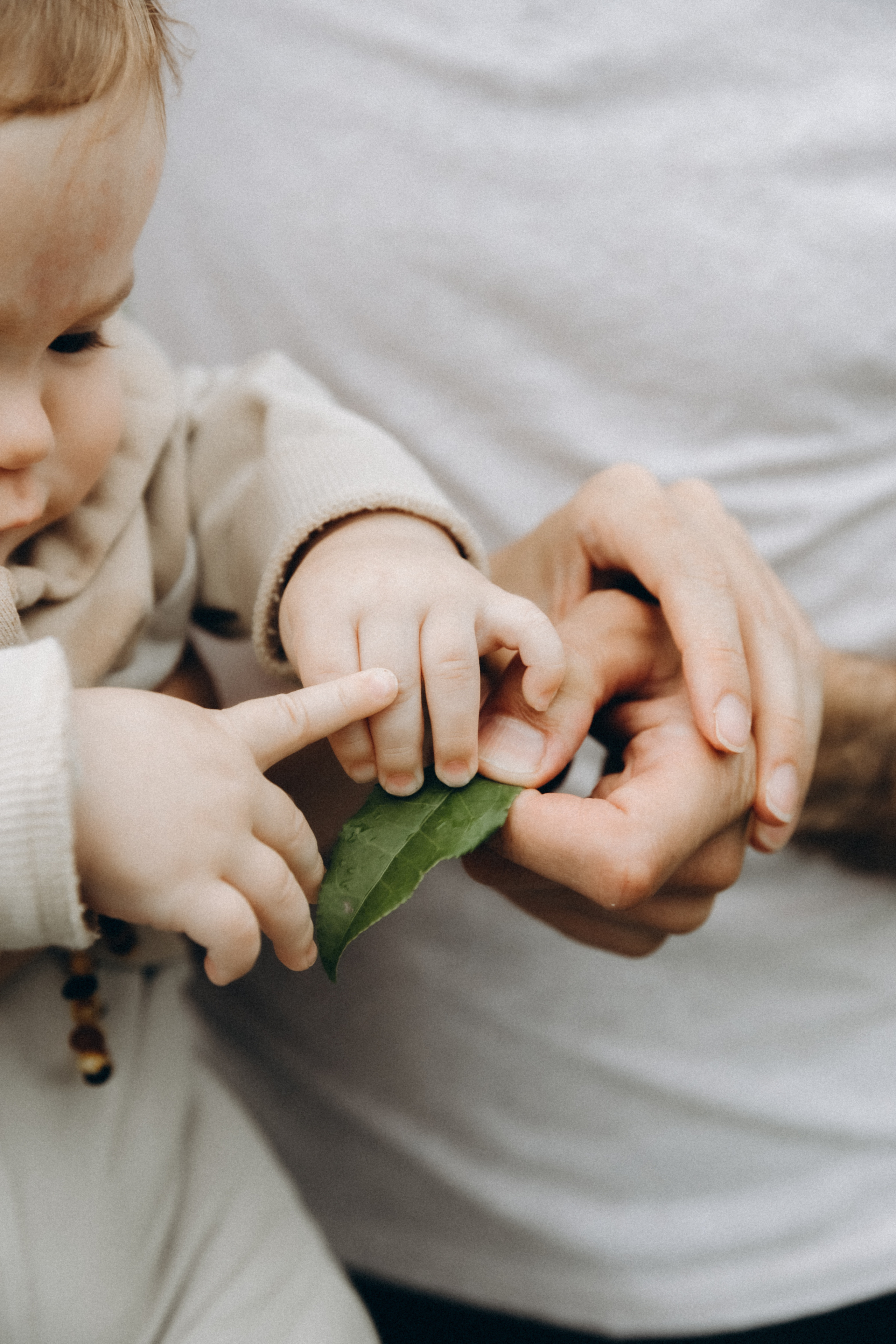 Дмитрий, Алия, Платон, Глеб, Радислав, Герман и Юмми. Фотограф Сочи Адлер Красная Поляна Ошутина Анастасия