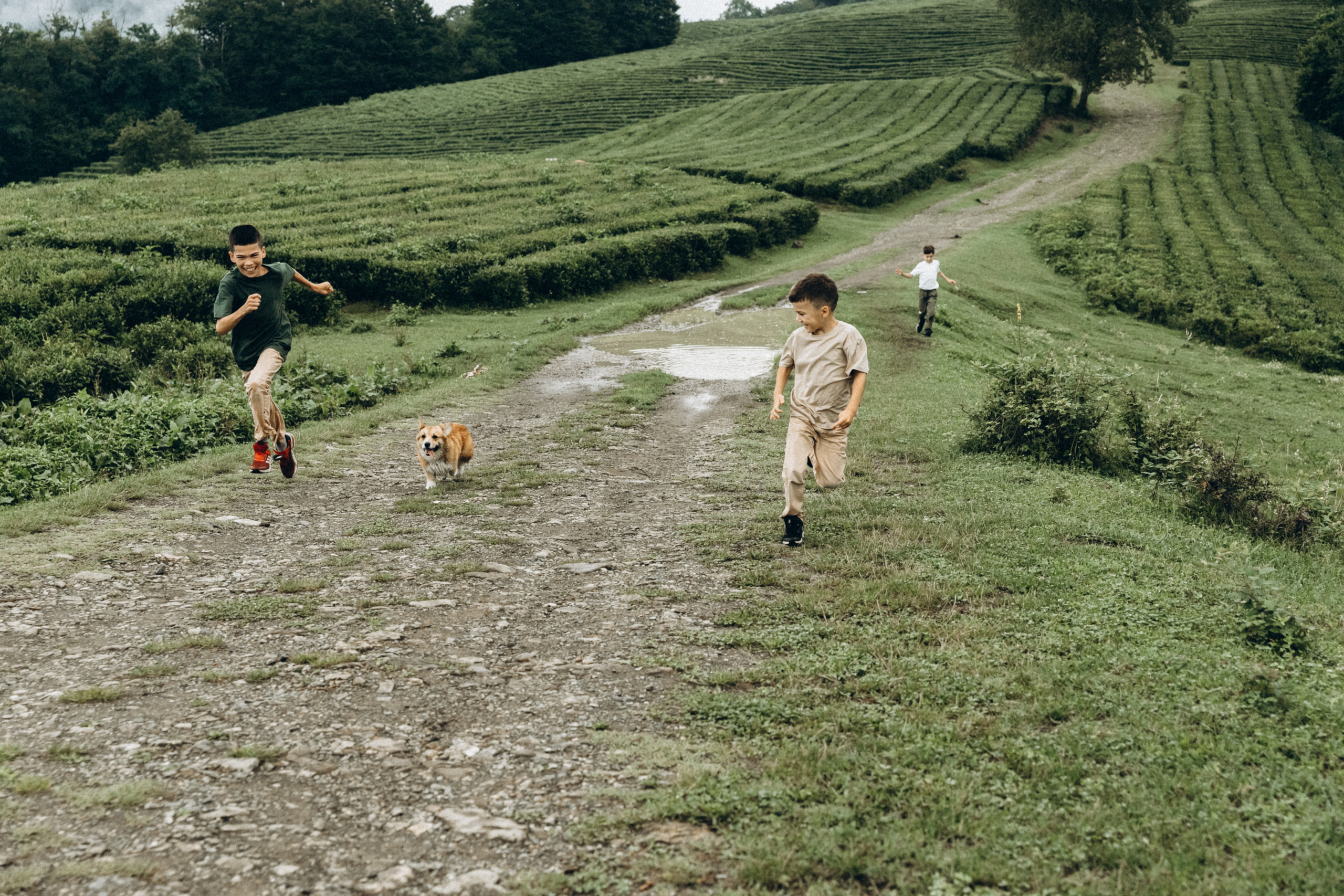 Дмитрий, Алия, Платон, Глеб, Радислав, Герман и Юмми. Фотограф Сочи Адлер Красная Поляна Ошутина Анастасия