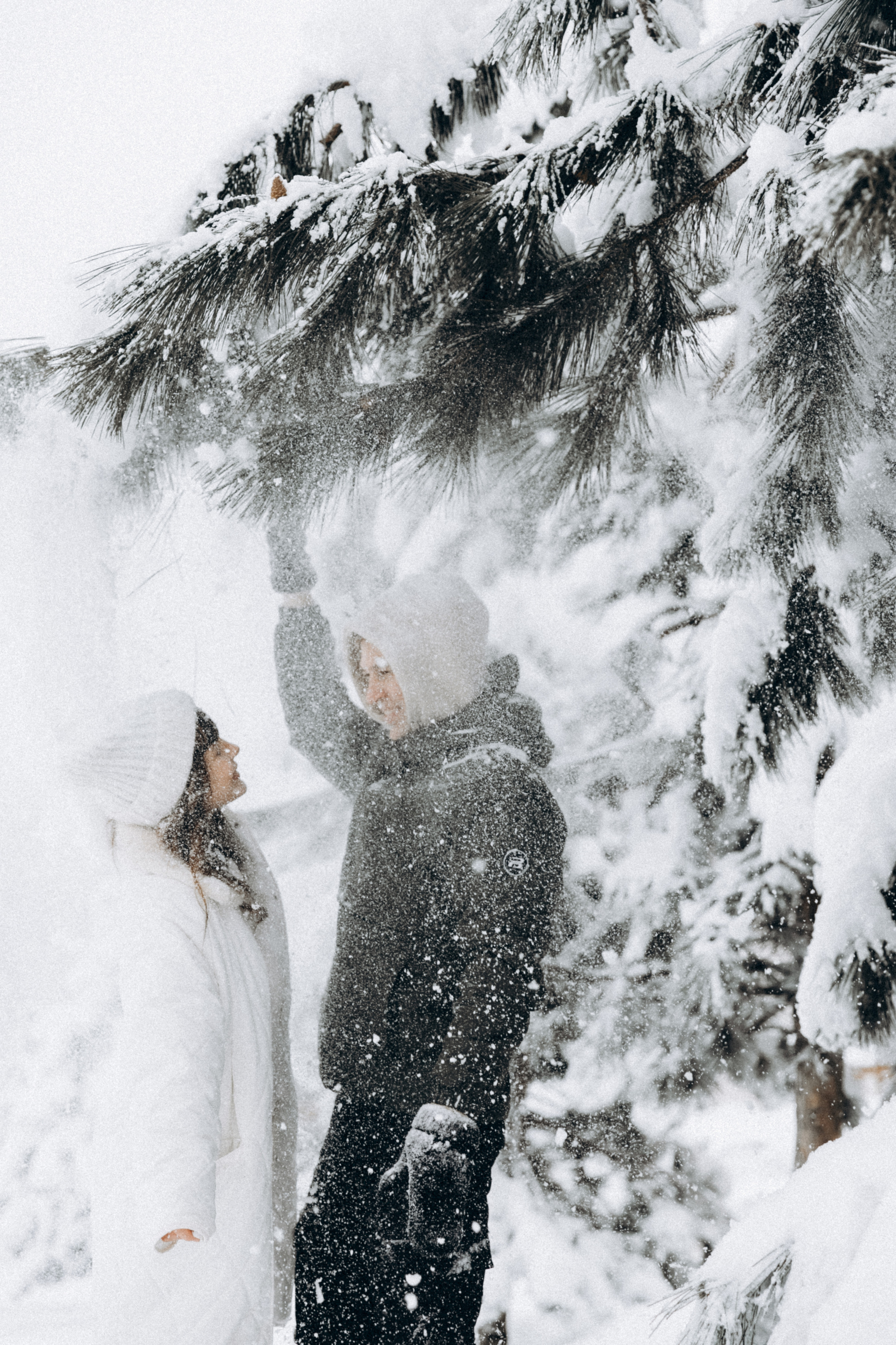 Светлана и Александр, Стеша и Ванюша. Фотограф Сочи Адлер Красная Поляна Ошутина Анастасия