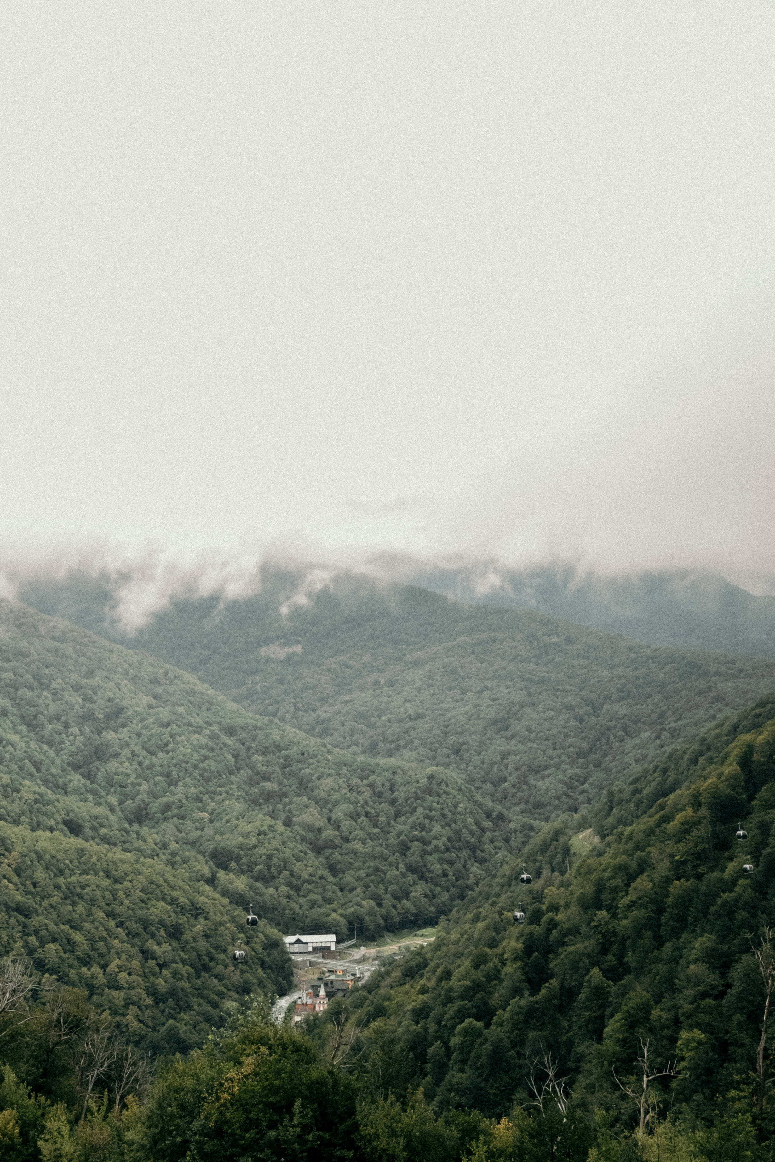 Виктория и Алиса. Фотограф Сочи Адлер Красная Поляна Ошутина Анастасия