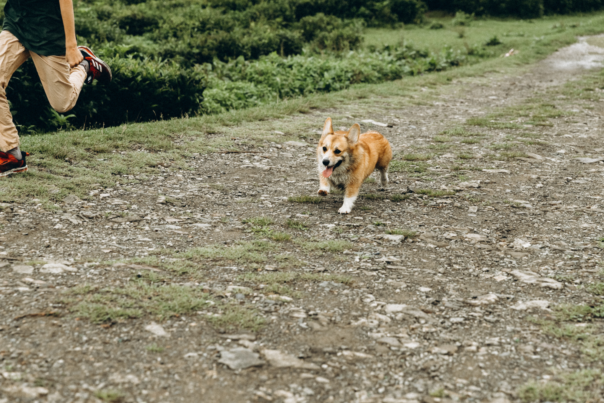 Дмитрий, Алия, Платон, Глеб, Радислав, Герман и Юмми. Фотограф Сочи Адлер Красная Поляна Ошутина Анастасия