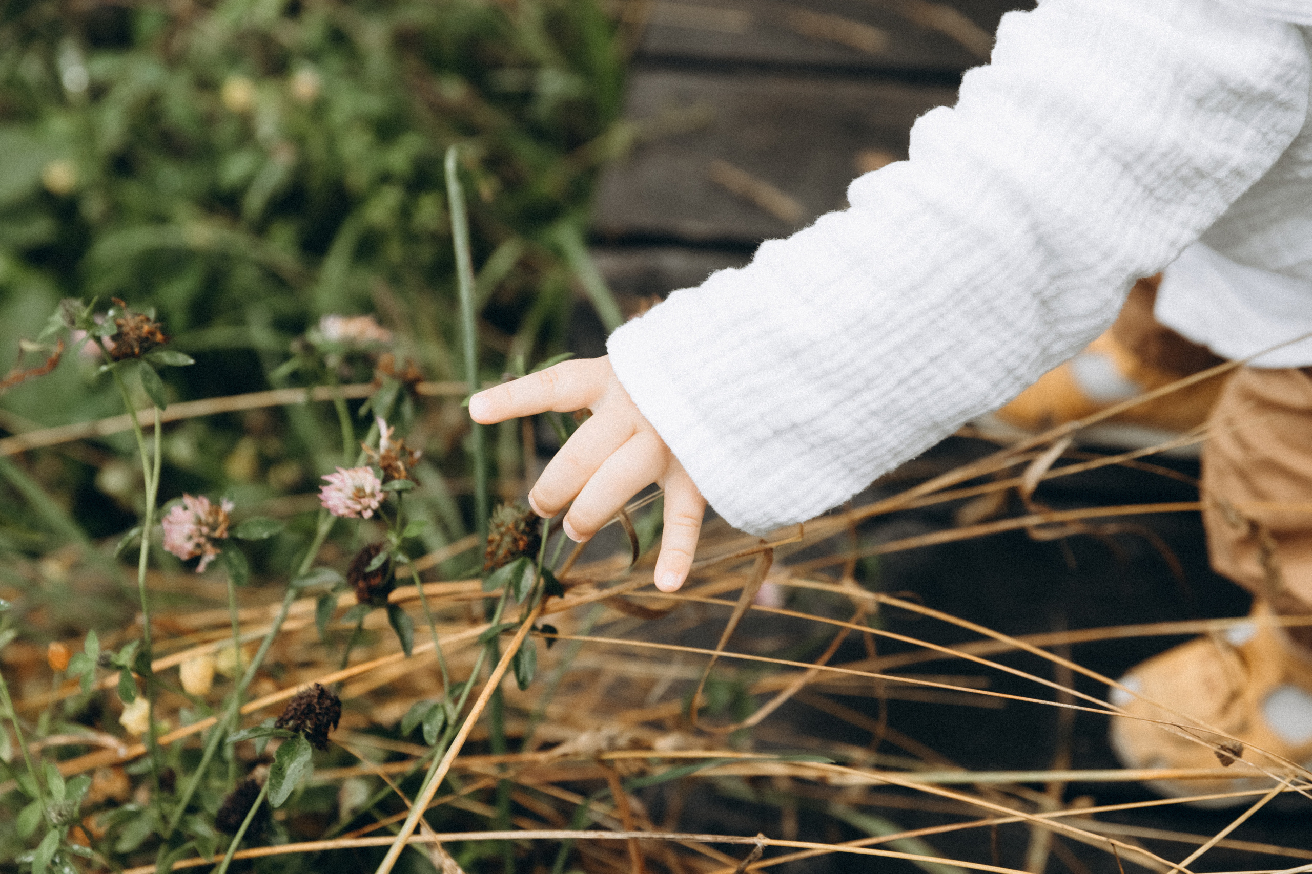 Андрей, Анастасия и Артём. Фотограф Сочи Адлер Красная Поляна Ошутина Анастасия