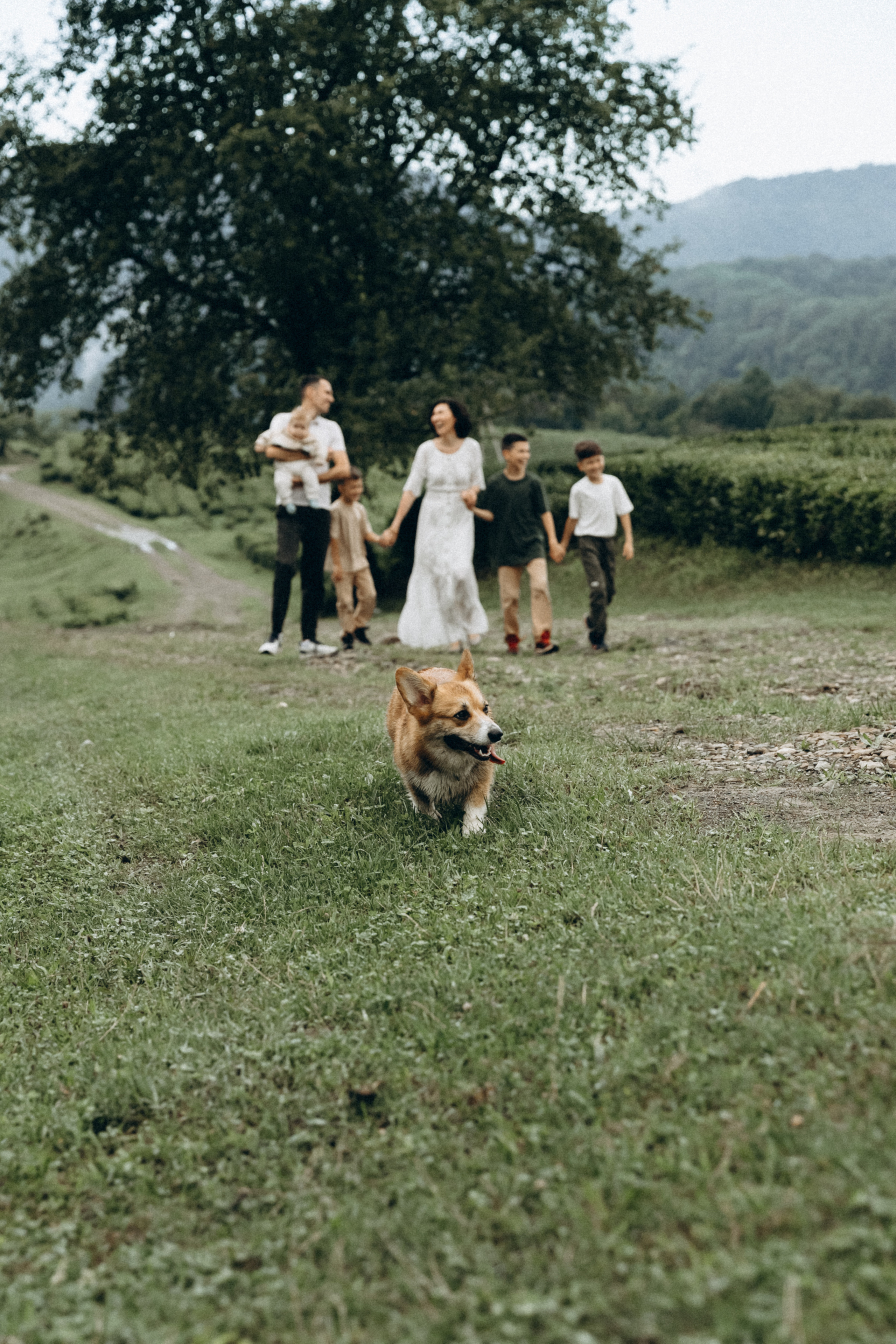 Дмитрий, Алия, Платон, Глеб, Радислав, Герман и Юмми. Фотограф Сочи Адлер Красная Поляна Ошутина Анастасия