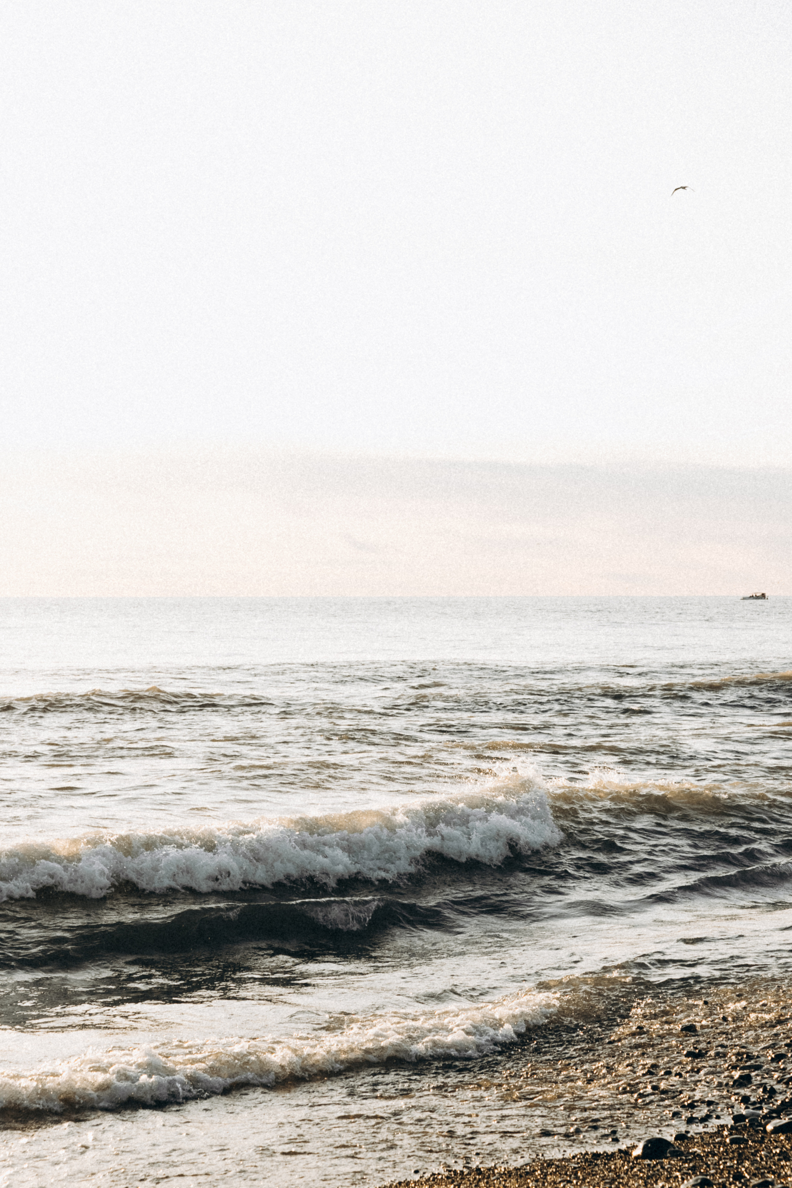 Маруся и Ярослав. Фотограф Сочи Адлер Красная Поляна Ошутина Анастасия