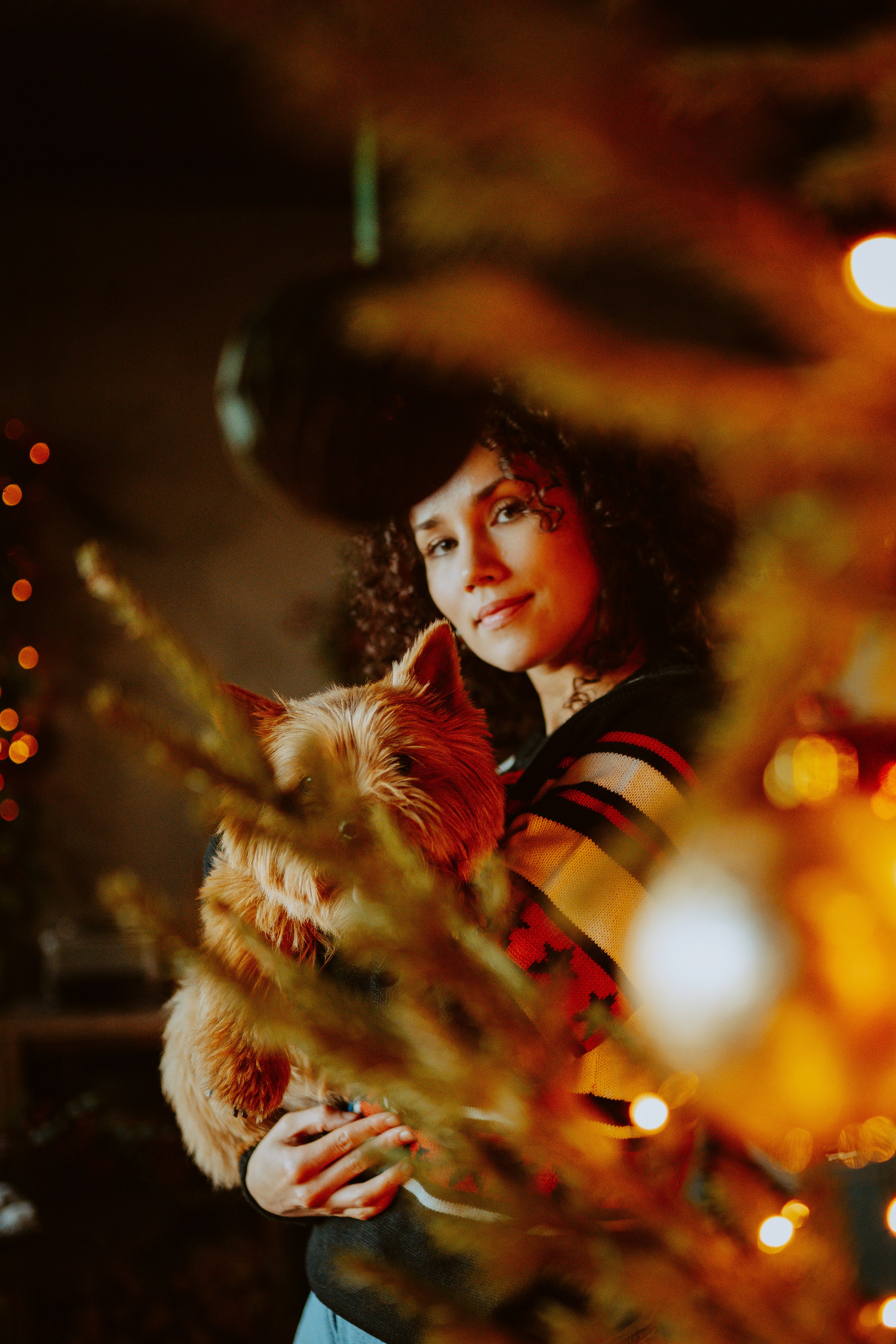 Фотосессия с собакой в студии. Фотограф анималист в Спб недорого Олеся Майорова