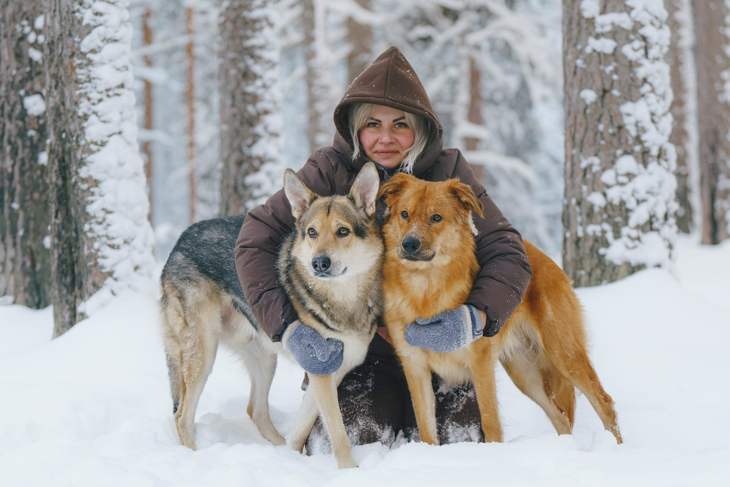 Рэй, Кузя, Ольга и Александр. Фотограф анималист в Спб недорого Олеся Майорова