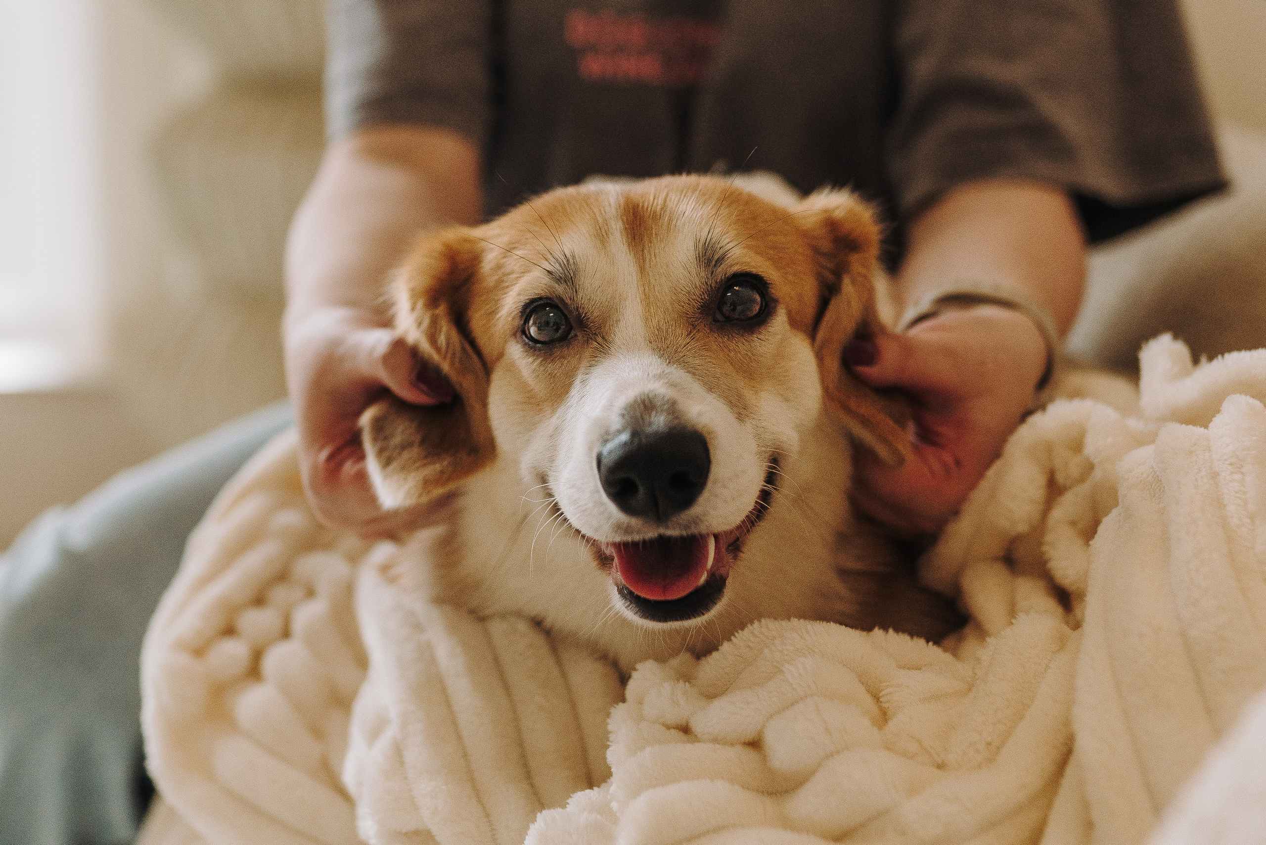Александра и Бри. Фотограф анималист в Спб недорого Олеся Майорова