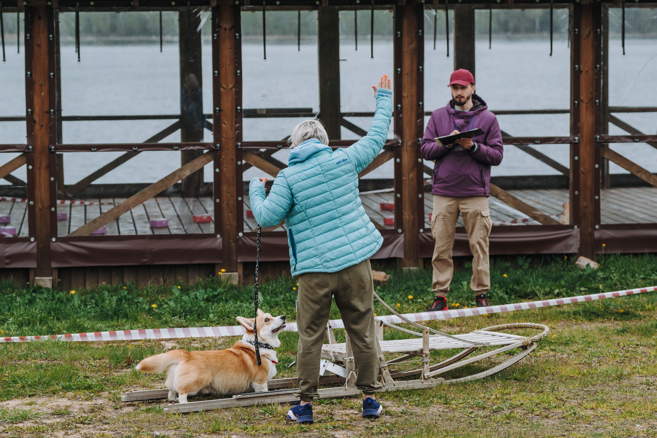 Соревнования по ноузворку в Лосево. Фотограф анималист в Спб недорого Олеся Майорова