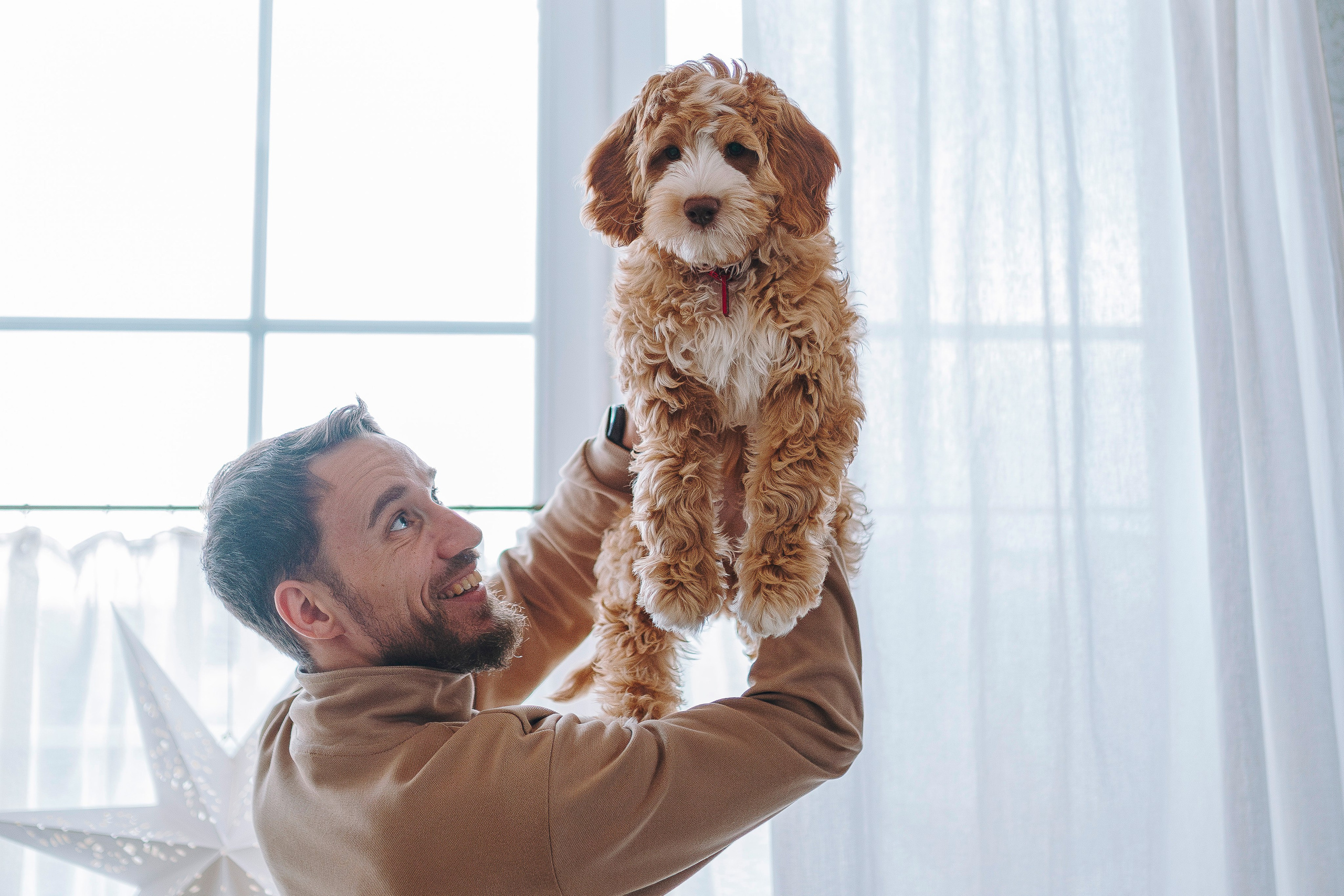 Мёрфи, Таня и Антон. Фотограф анималист в Спб недорого Олеся Майорова