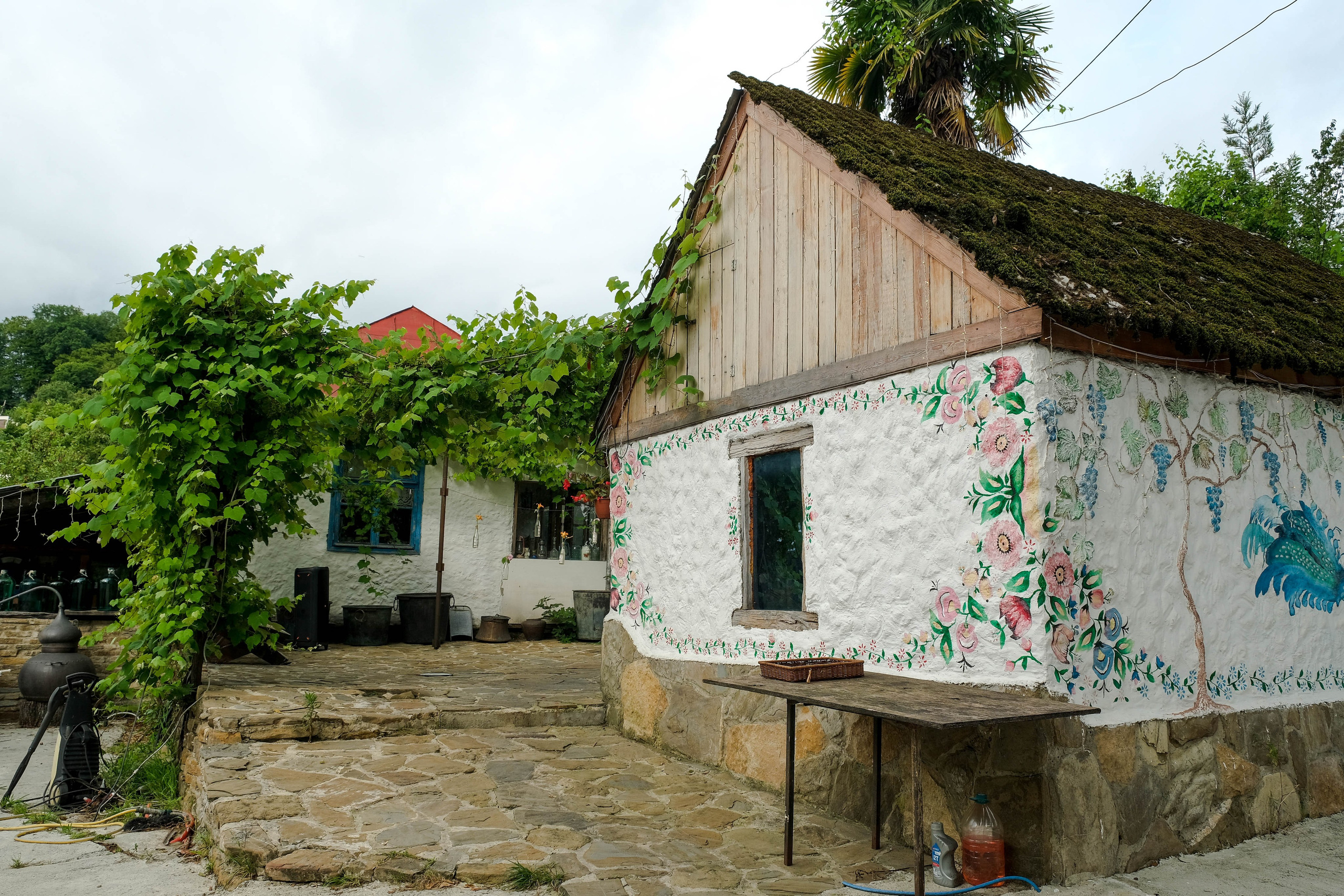 Репортажная съемка