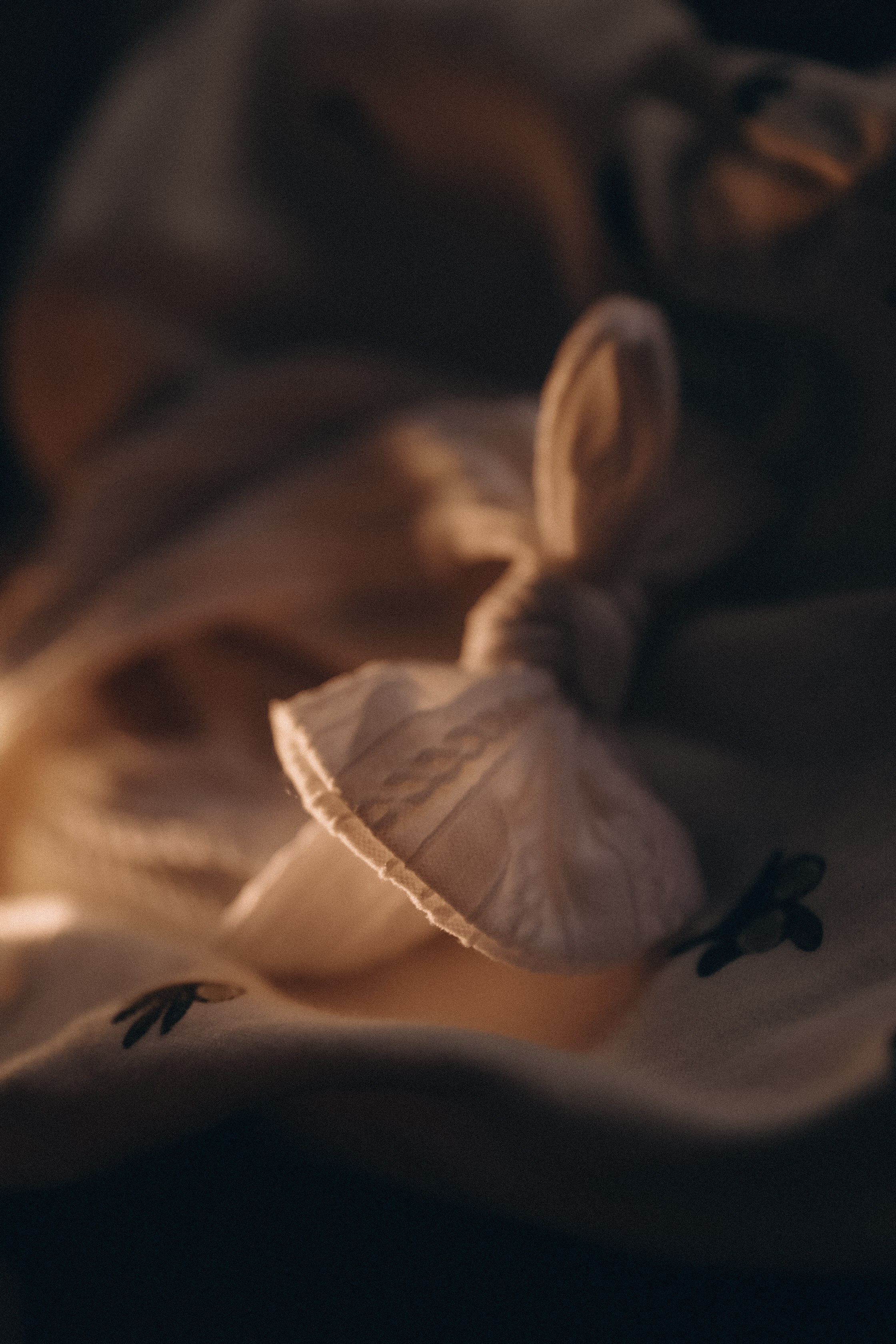 Домашняя история. Свадебный и семейный фотограф в городе Пенза, Саранск, Ковылкино