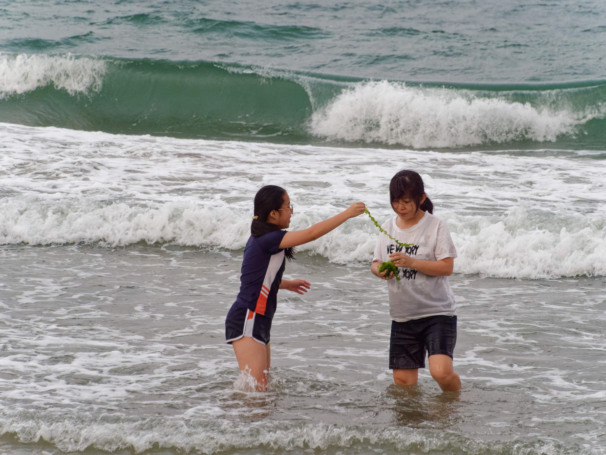 Нячанг 2025 (3). Избранные фотографии