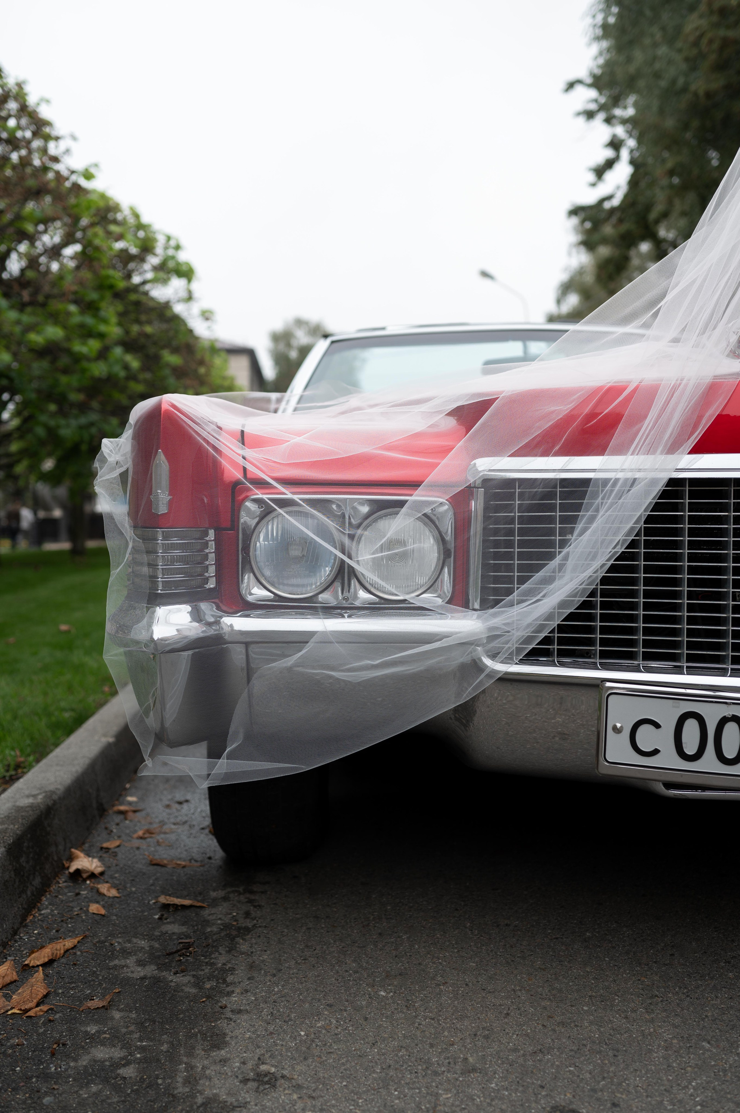 Вадим и Виктория. Свадебный, портретный, коммерческий, предметный фотограф в Ставрополе Иван Белашов