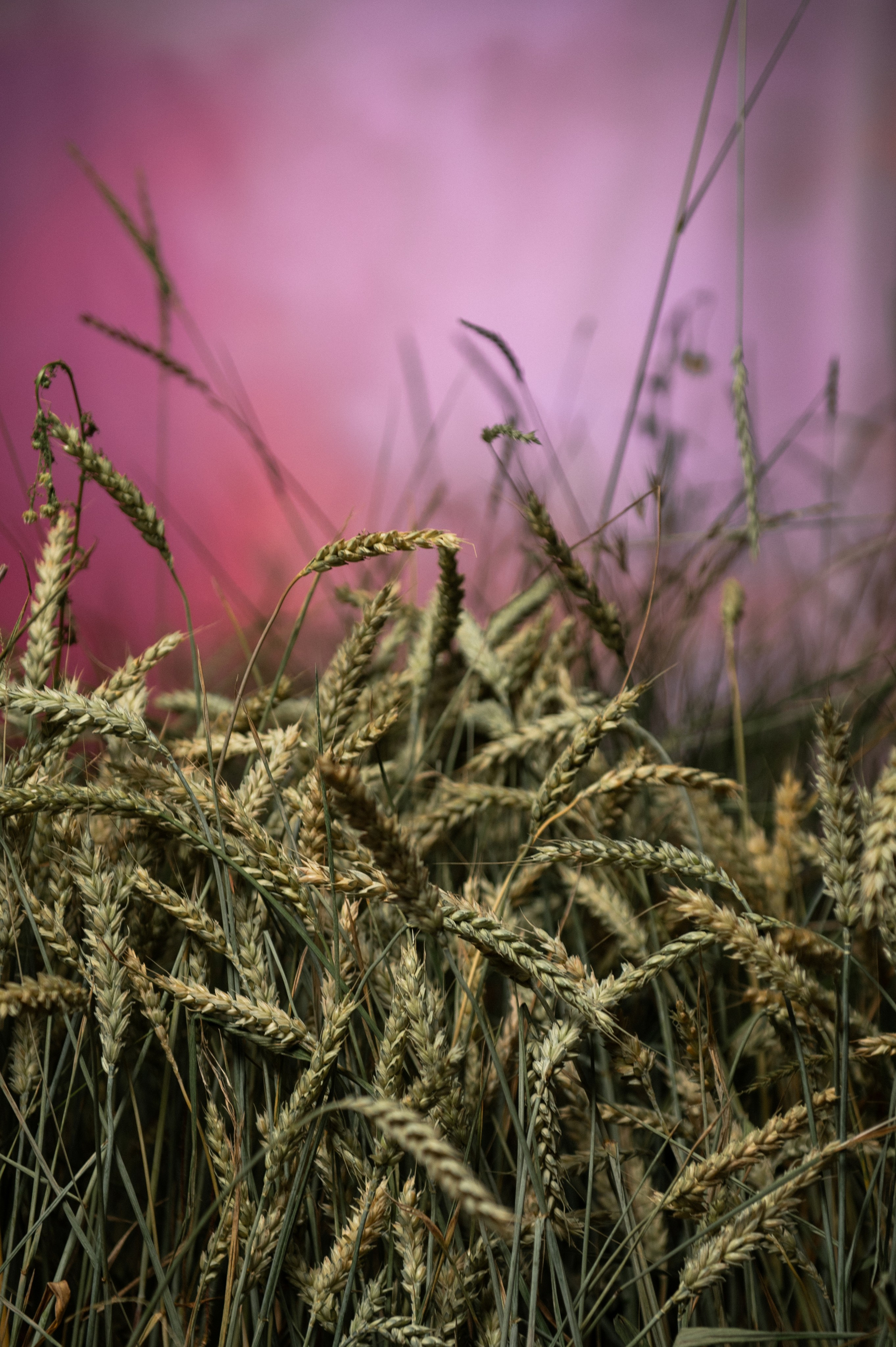 Фотосессия для брендов. Съемка для маркетплейсов. Лукбук. Екатерина Бакурова — контент фотограф, женский фотограф в Краснодаре