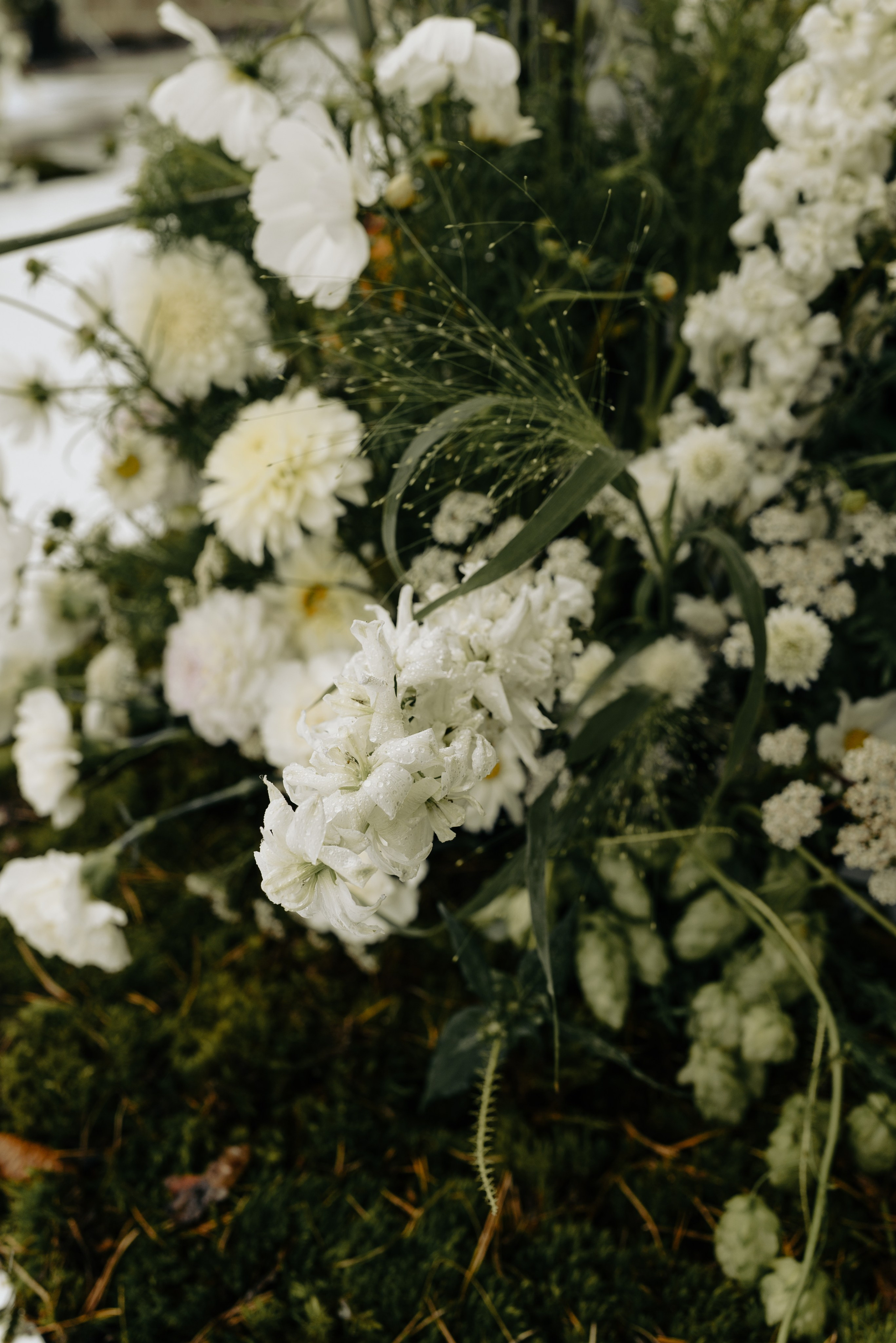 Паша и Алина. Свадебный фотограф Евгения Наумовец