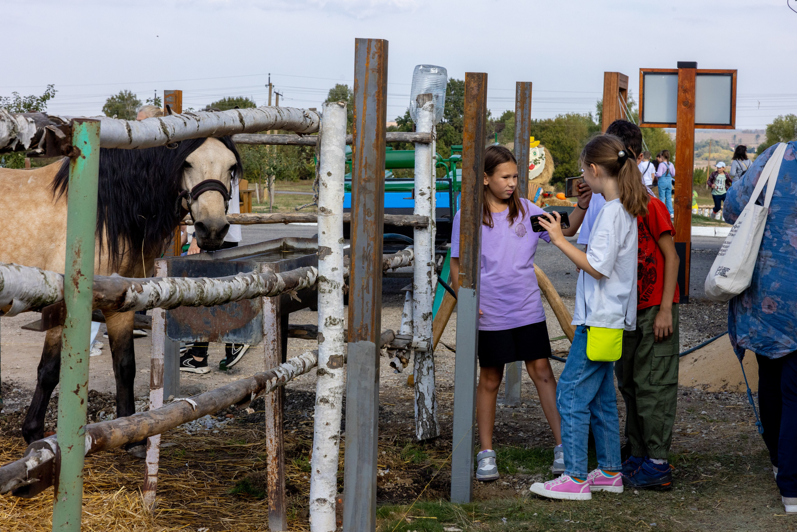 Поездка на поле Кулеково. Фотограф в Туле Крупский АнДРей. Фотостудия «КАДР71» в Туле