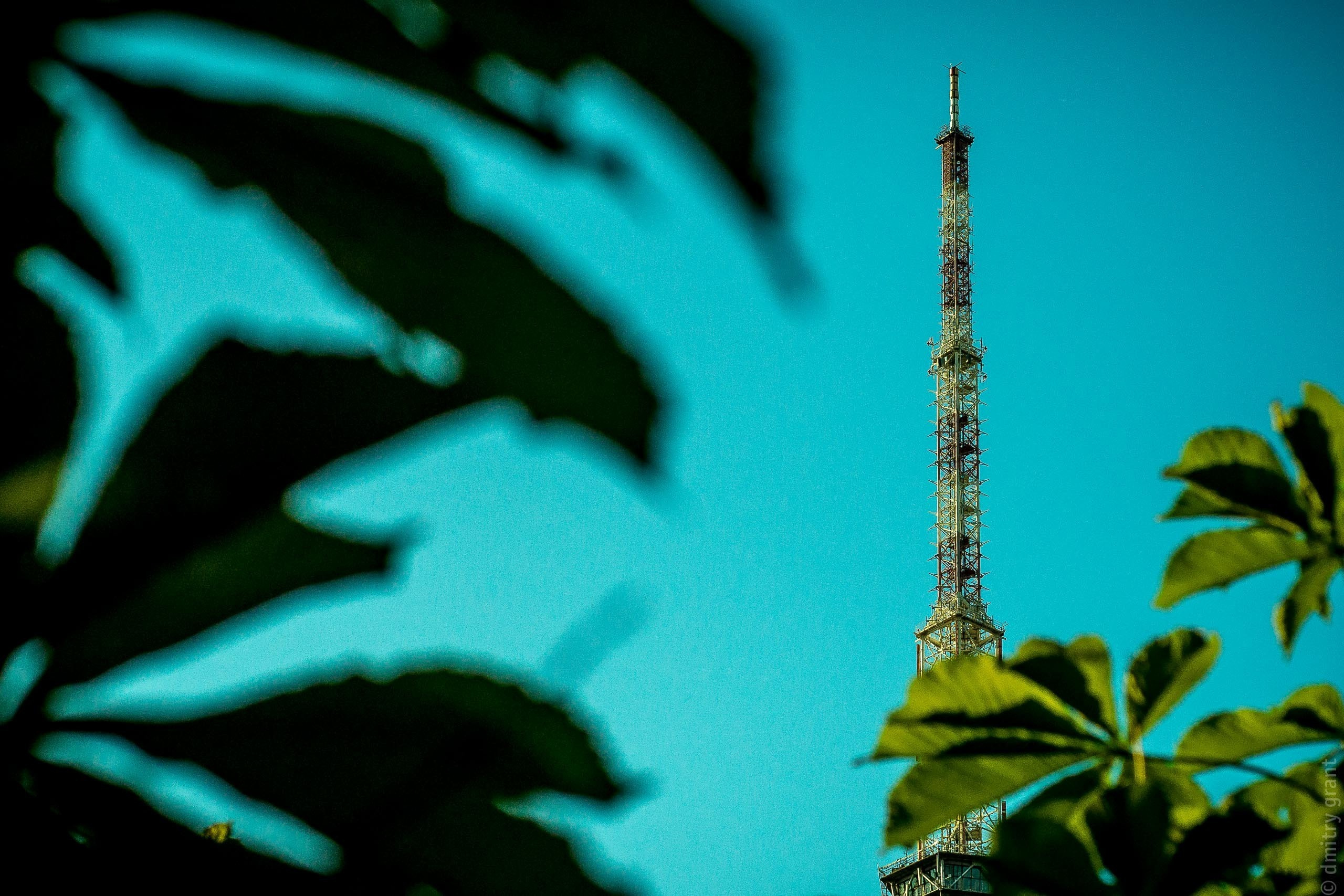 ЗАЧЕТНЫЙ АВГУСТ. Фотограф Дмитрий Грант