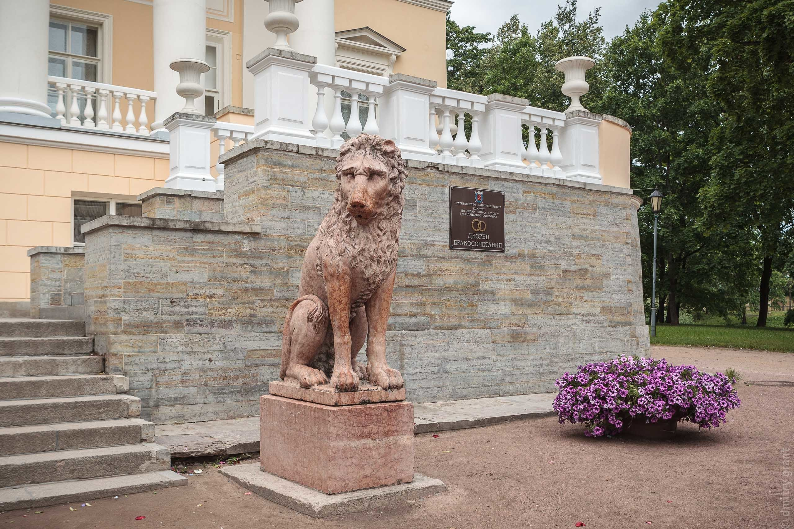 Инга + Сергей. Фотограф Дмитрий Грант