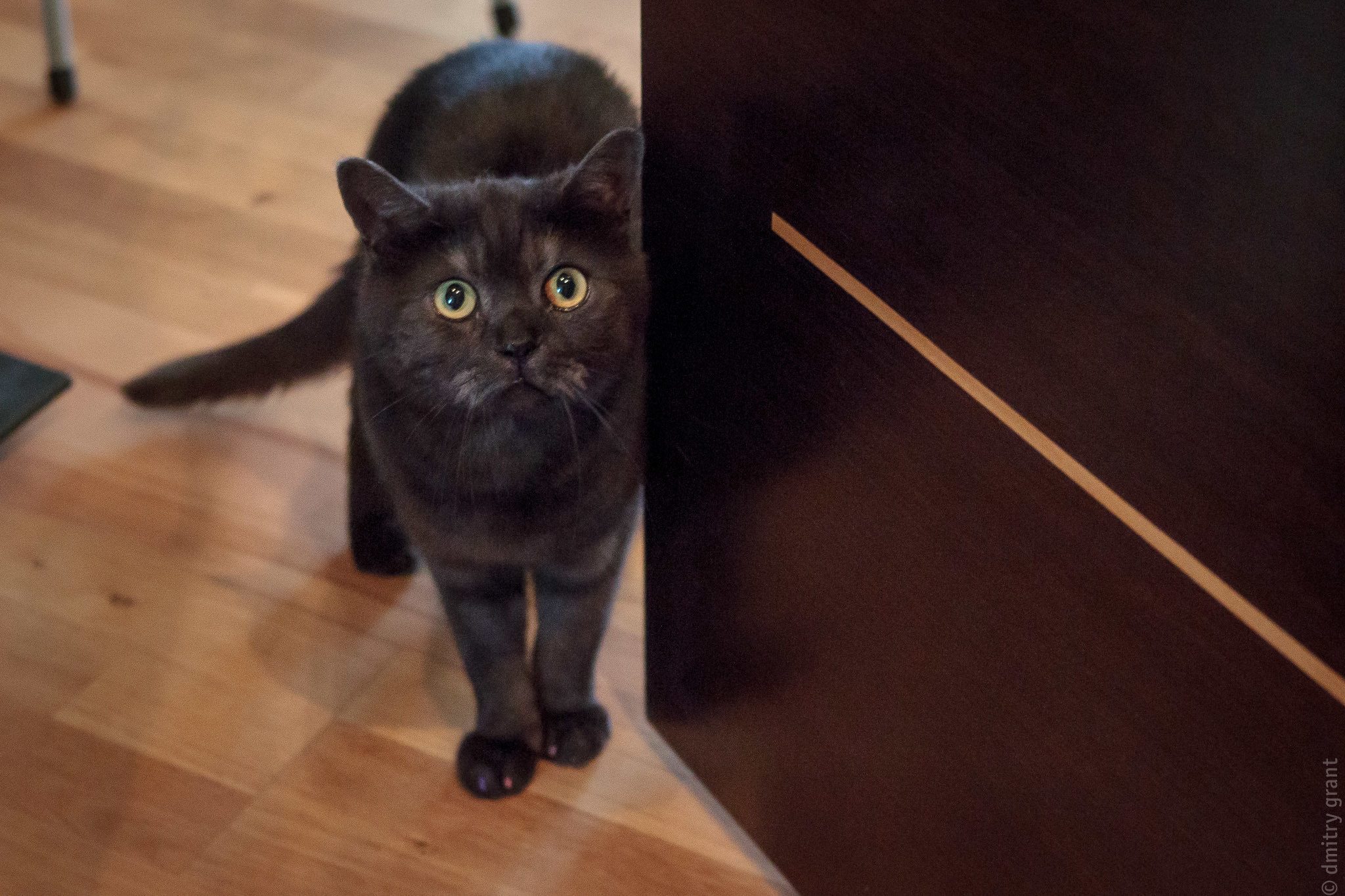 Ольга + Сергей. Фотограф Дмитрий Грант