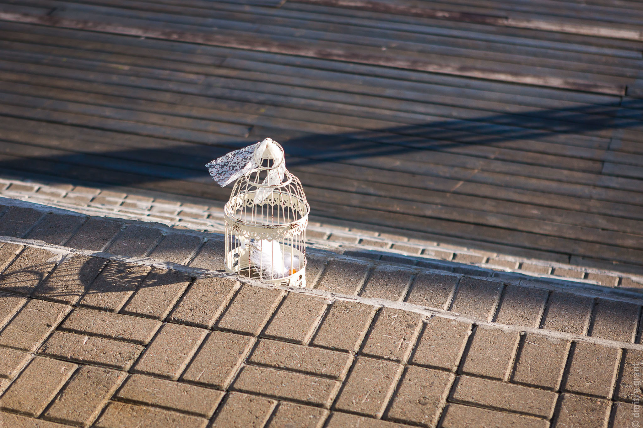 Катя + Арсений. Фотограф Дмитрий Грант