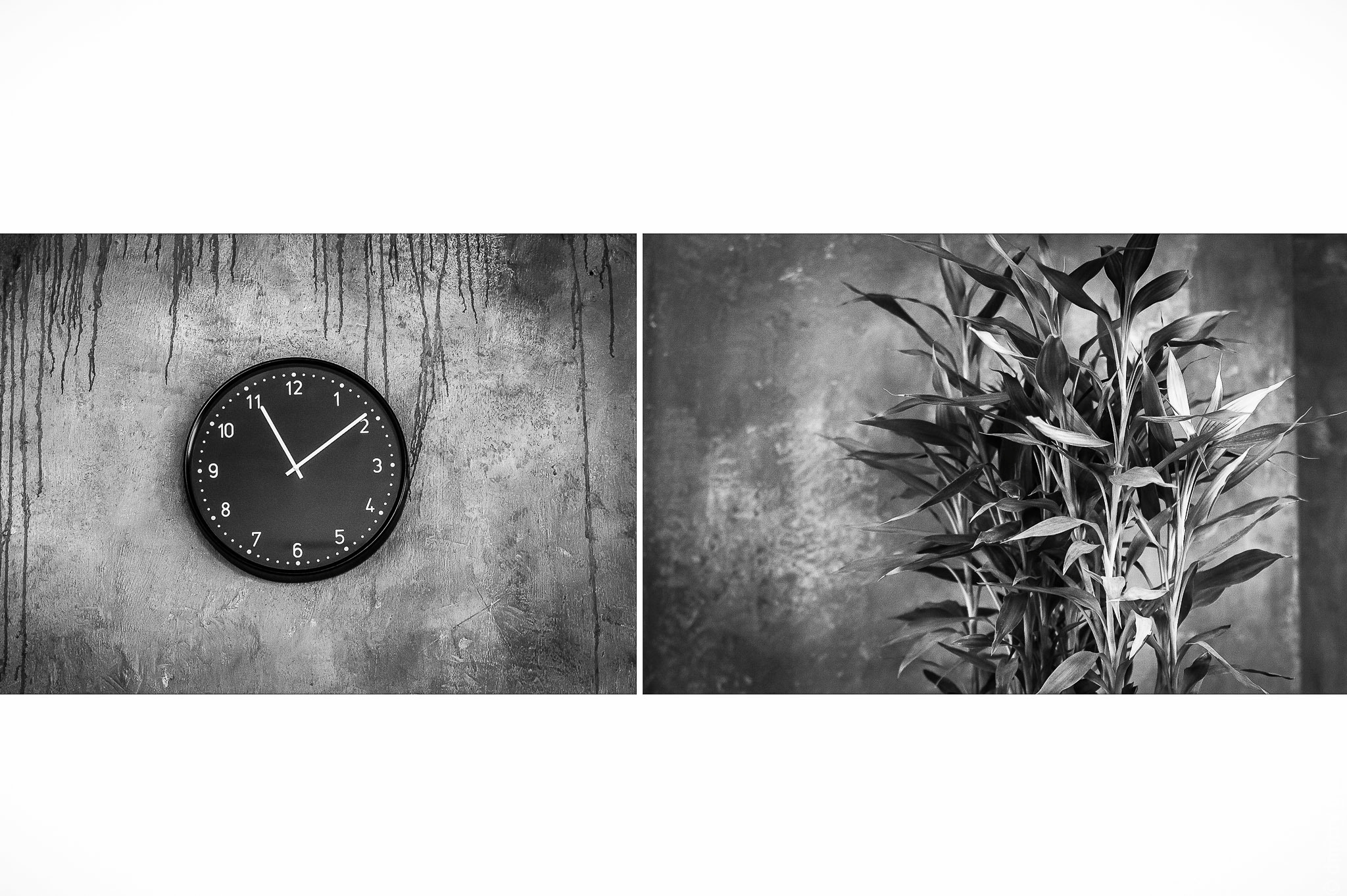 Илона + Максим. Фотограф Дмитрий Грант