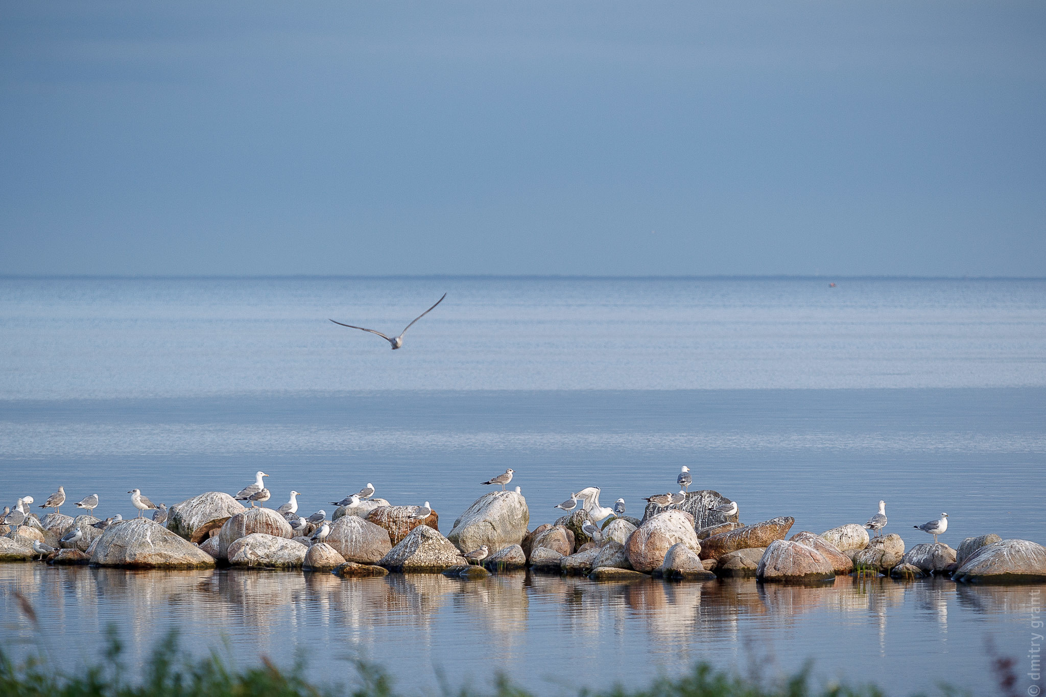 Валерия + Дмитрий. Фотограф Дмитрий Грант