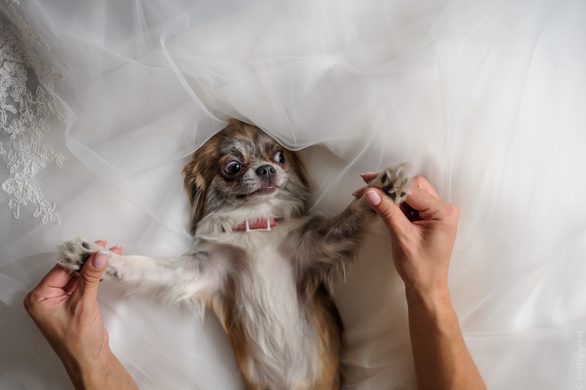 Ольга + Сергей. Фотограф Дмитрий Грант