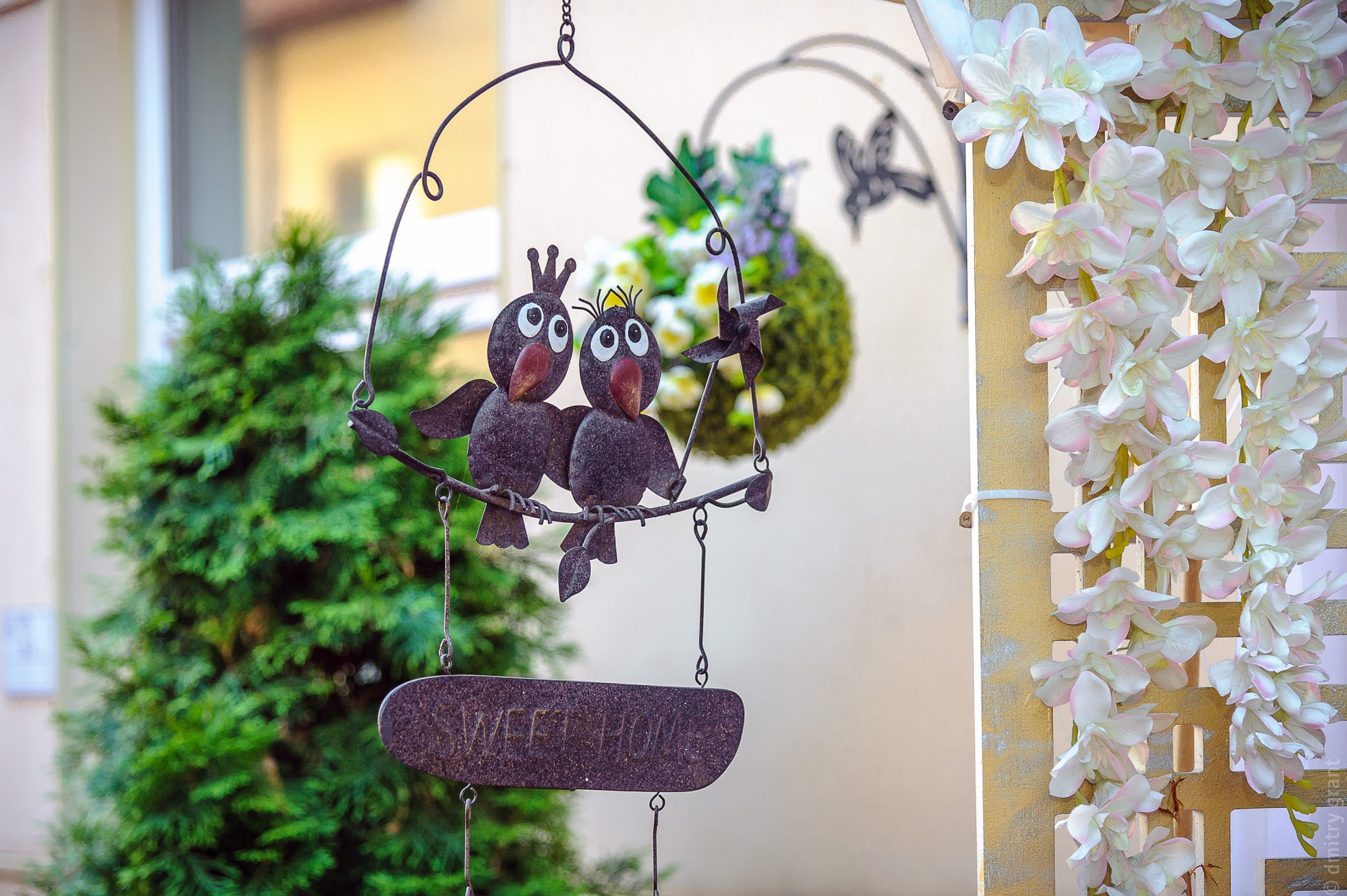 Августа + Артемий. Фотограф Дмитрий Грант