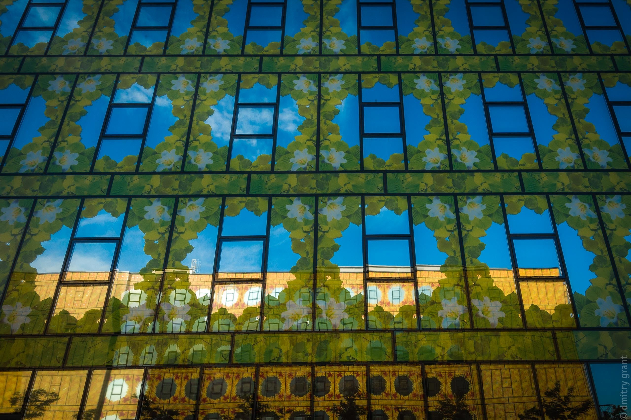 Виктория + Дмитрий. Фотограф Дмитрий Грант