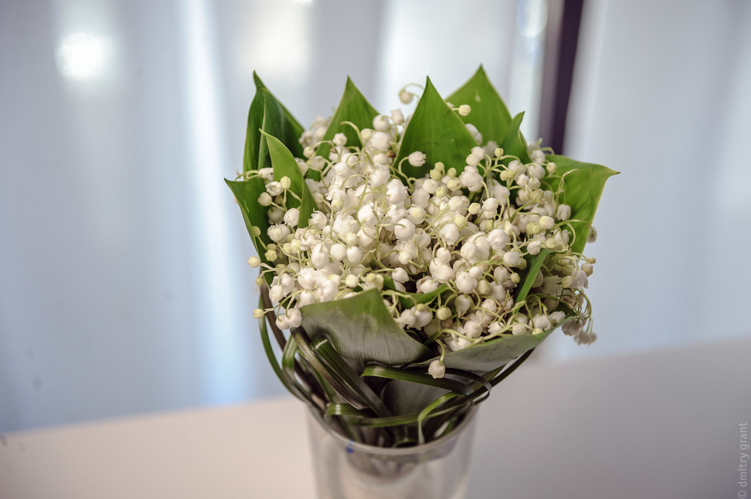 Анна + Олег. Фотограф Дмитрий Грант