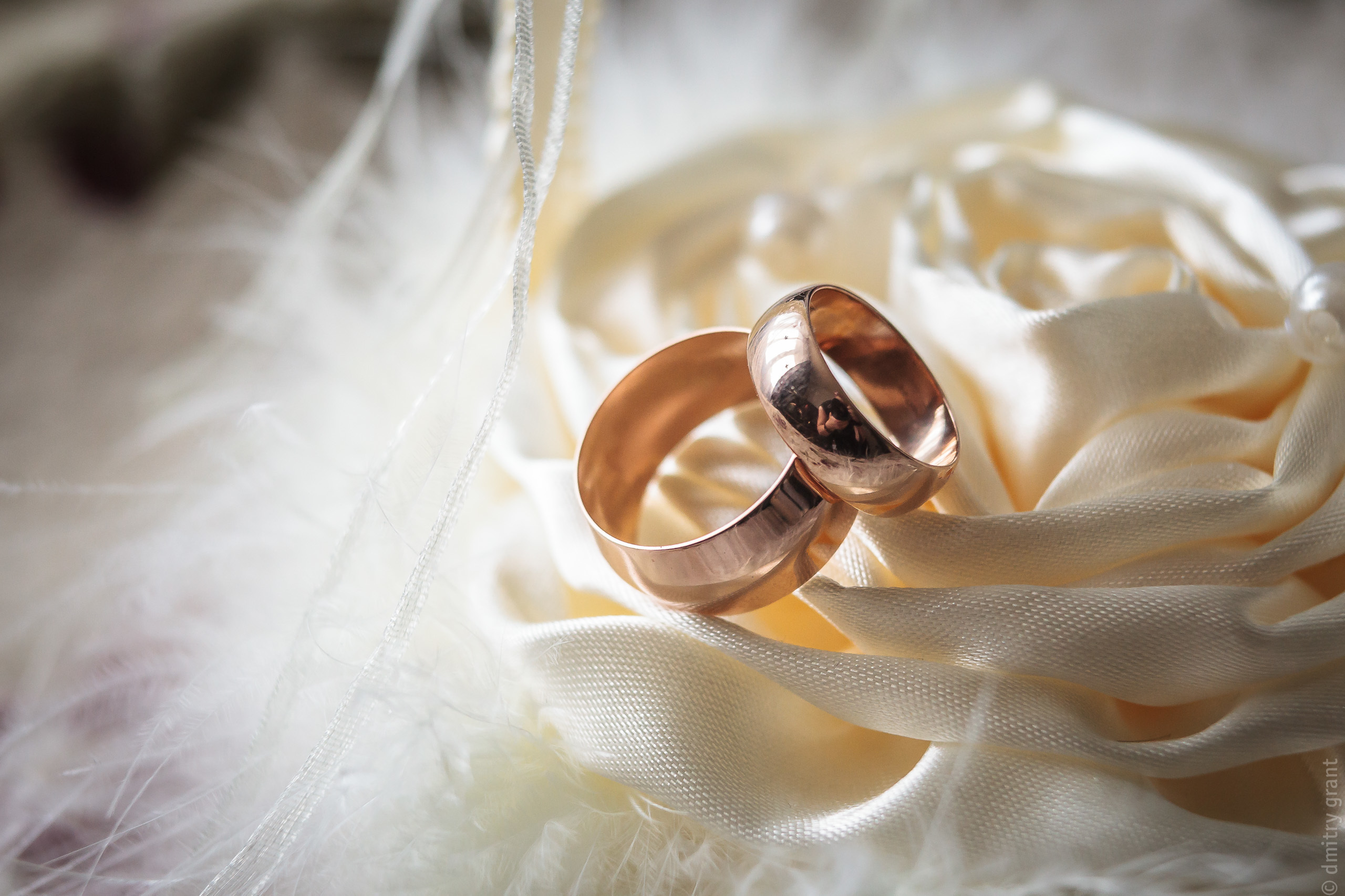 Елена + Александр. Фотограф Дмитрий Грант