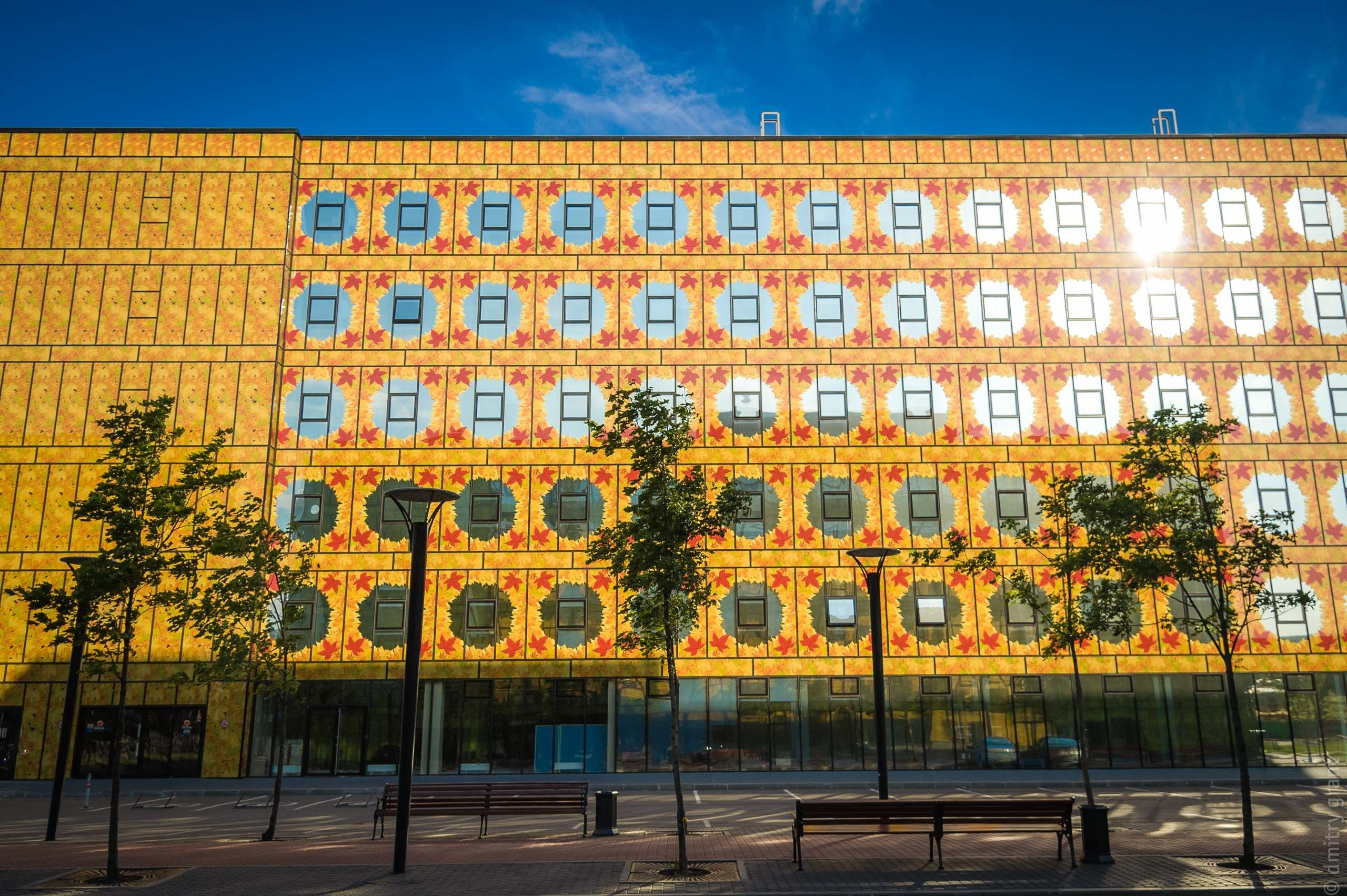 Виктория + Дмитрий. Фотограф Дмитрий Грант